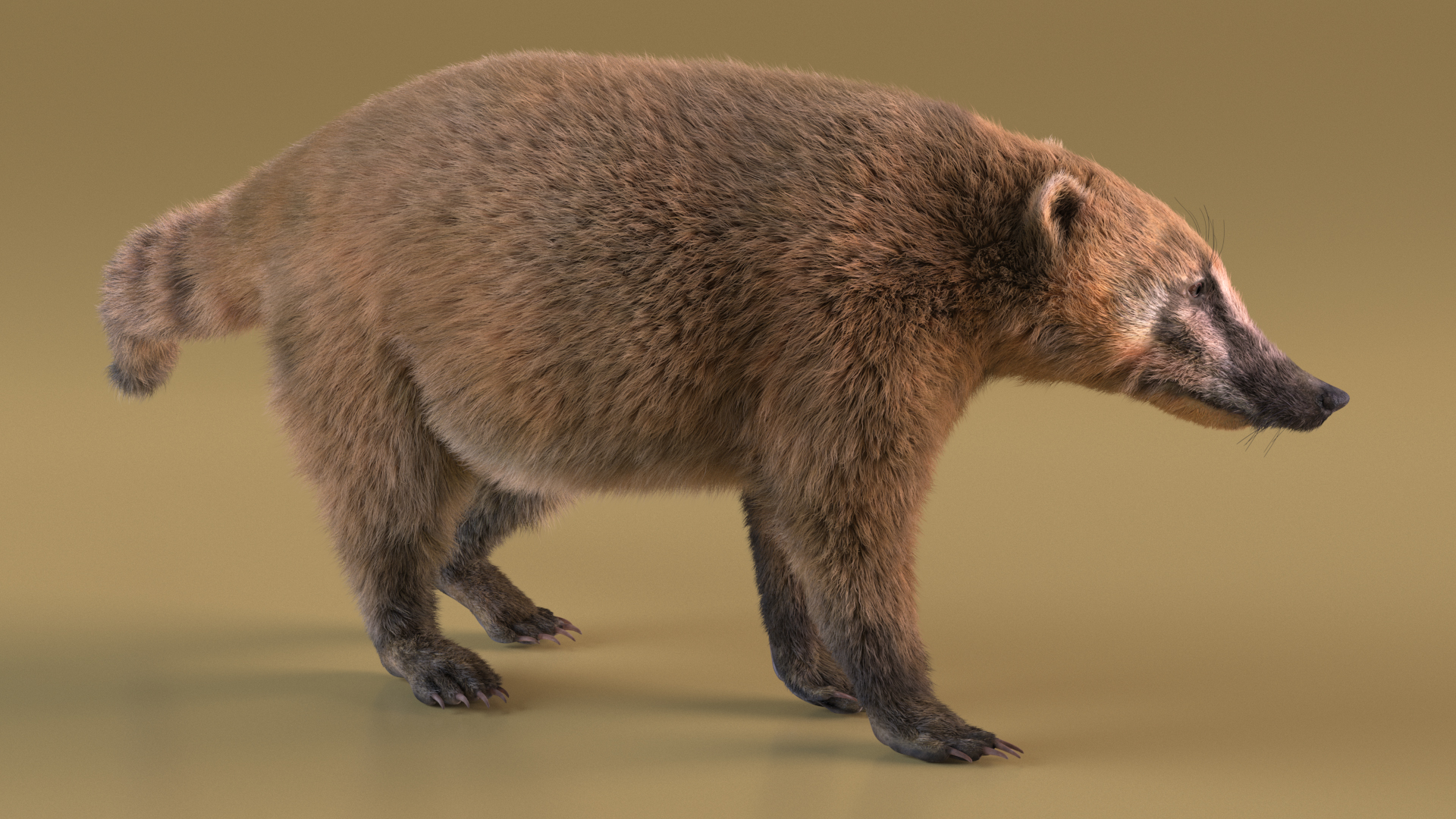 Walking Coati Fur 3D