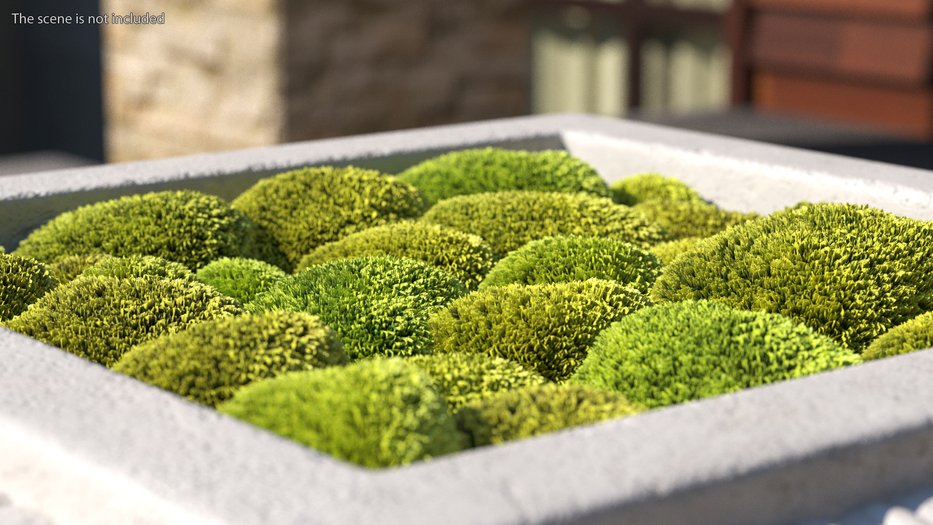 Planter Box With Moss Garden h55 3D