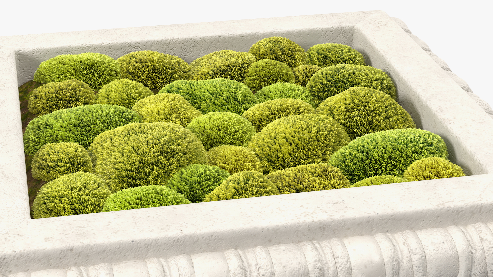 Planter Box With Moss Garden h55 3D