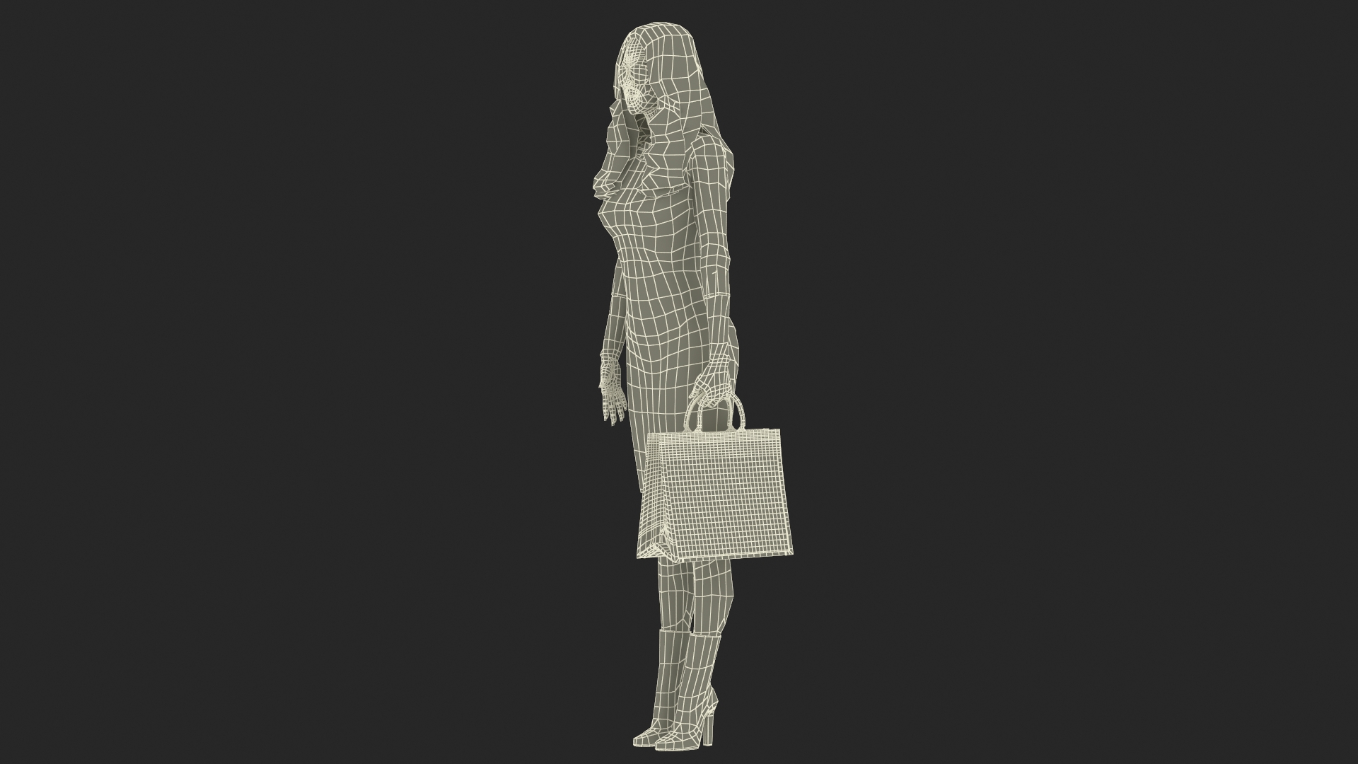 3D Woman Holding Navy Blue Embroidery Dior Tote Bag model