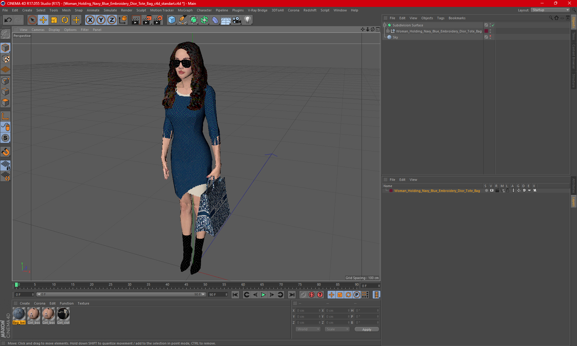 3D Woman Holding Navy Blue Embroidery Dior Tote Bag model