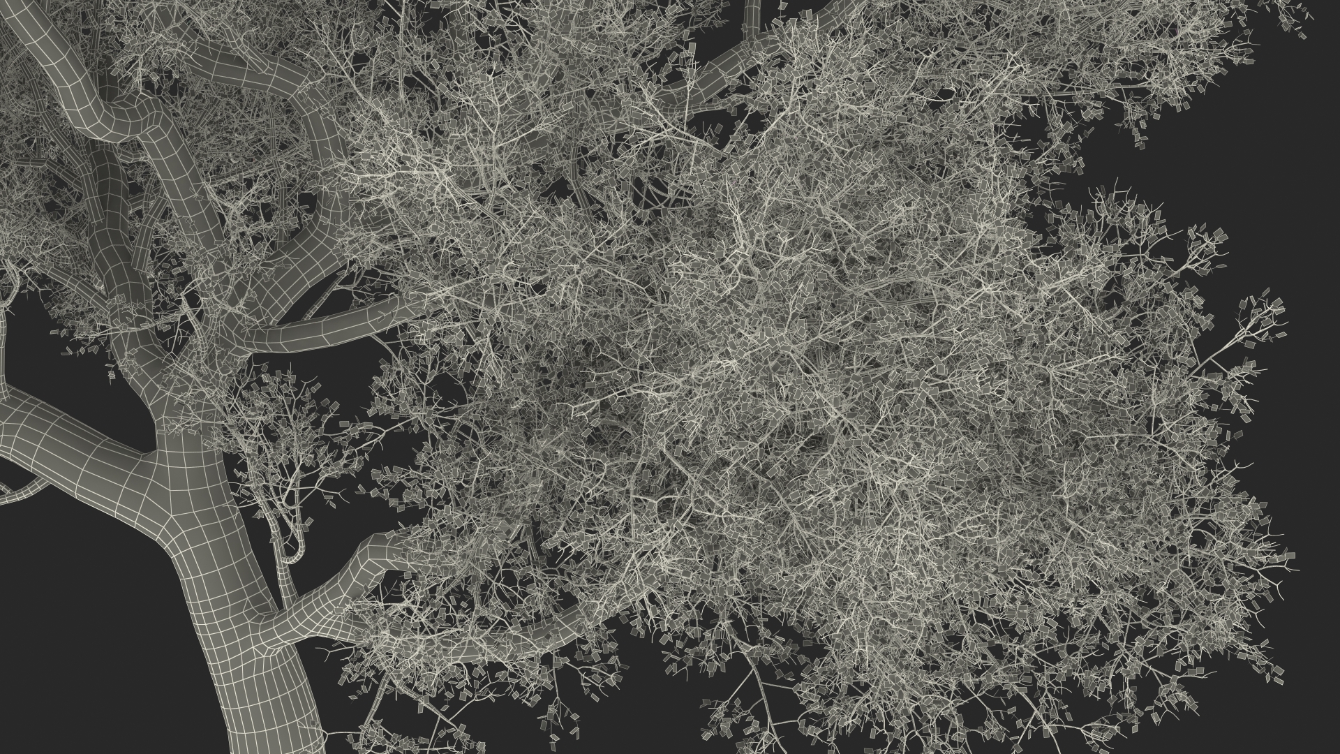 3D Green Tabebuia Avellanedae Tree