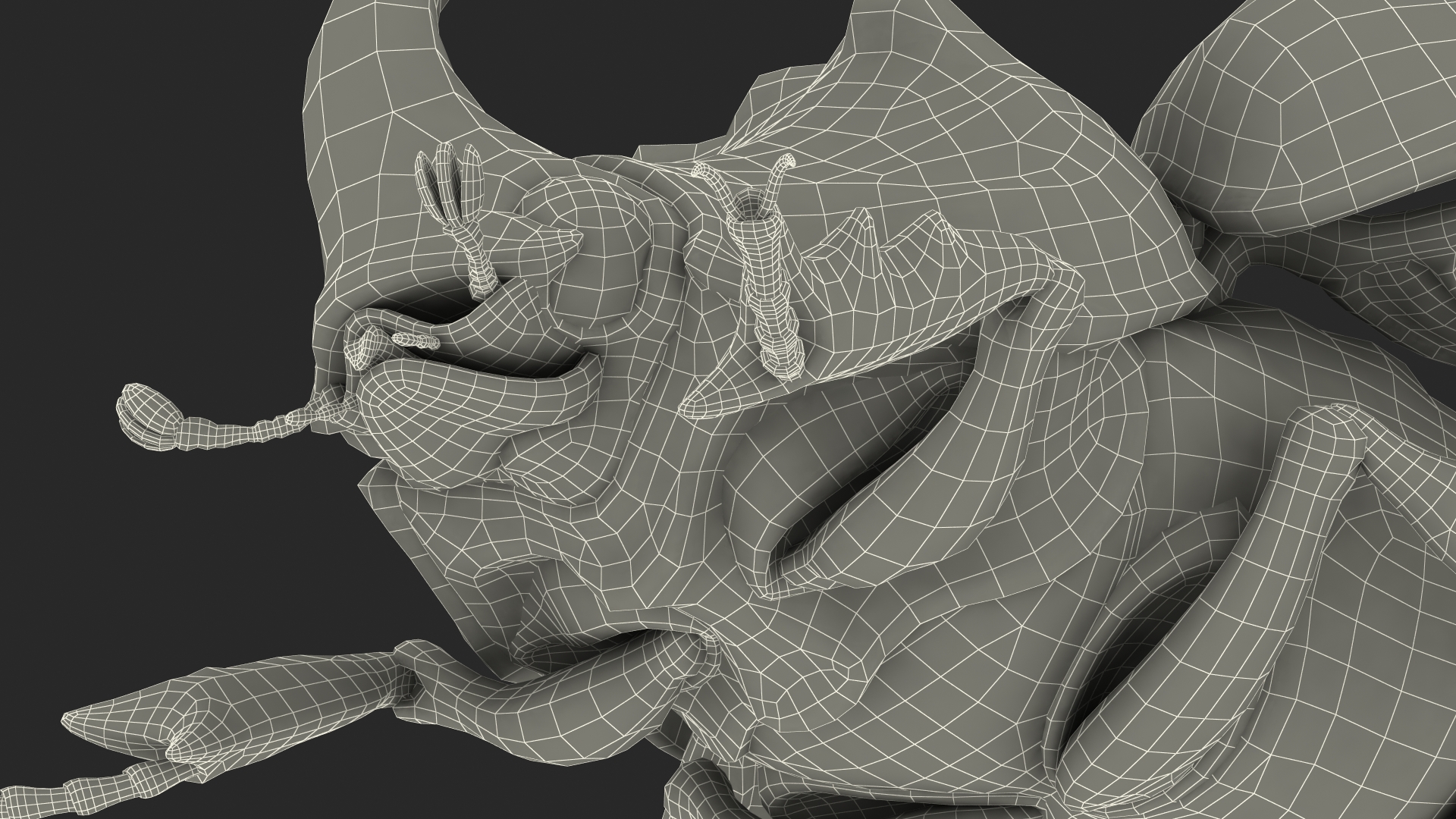 3D Oryctes Nasicornis Rhinoceros Beetle