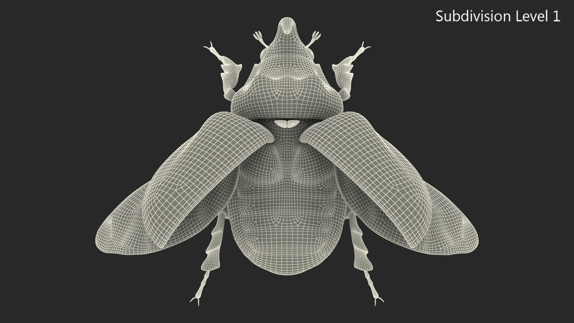 3D Oryctes Nasicornis Rhinoceros Beetle