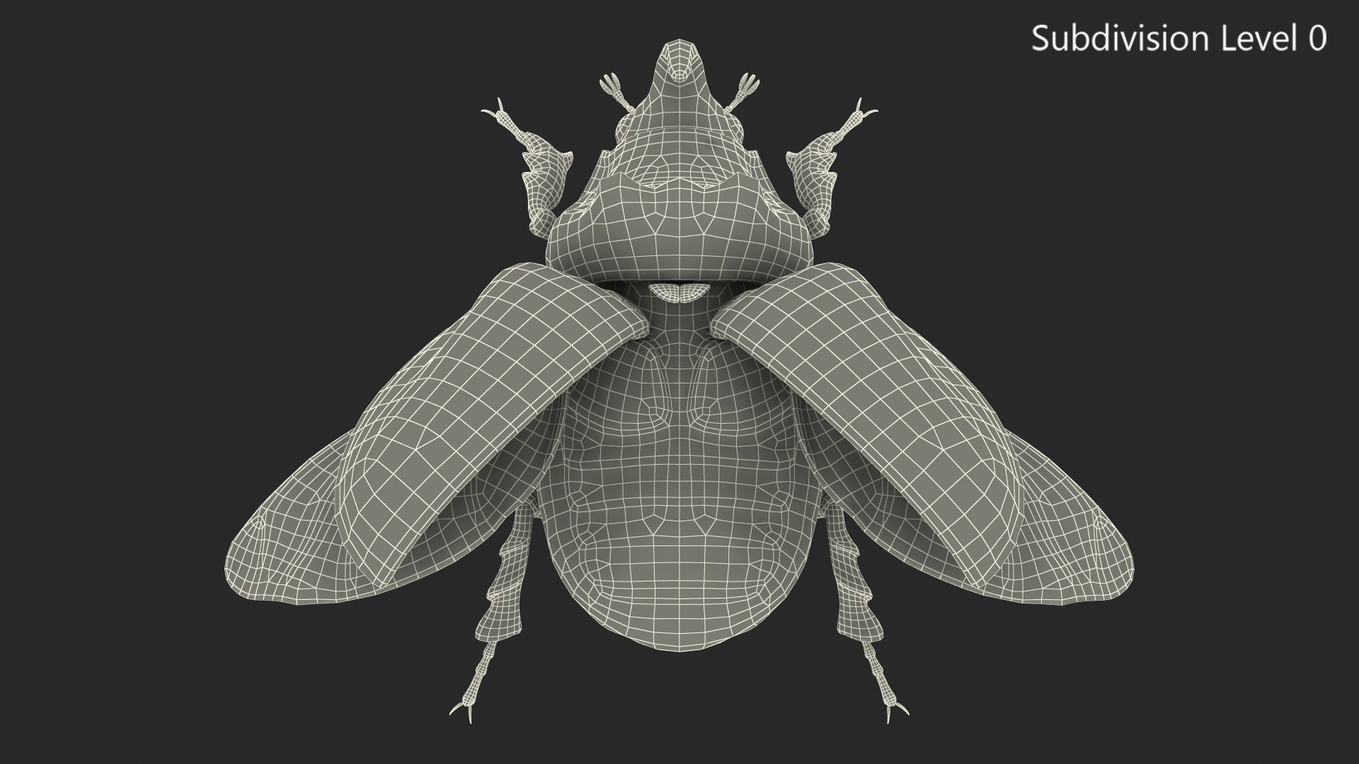 3D Oryctes Nasicornis Rhinoceros Beetle