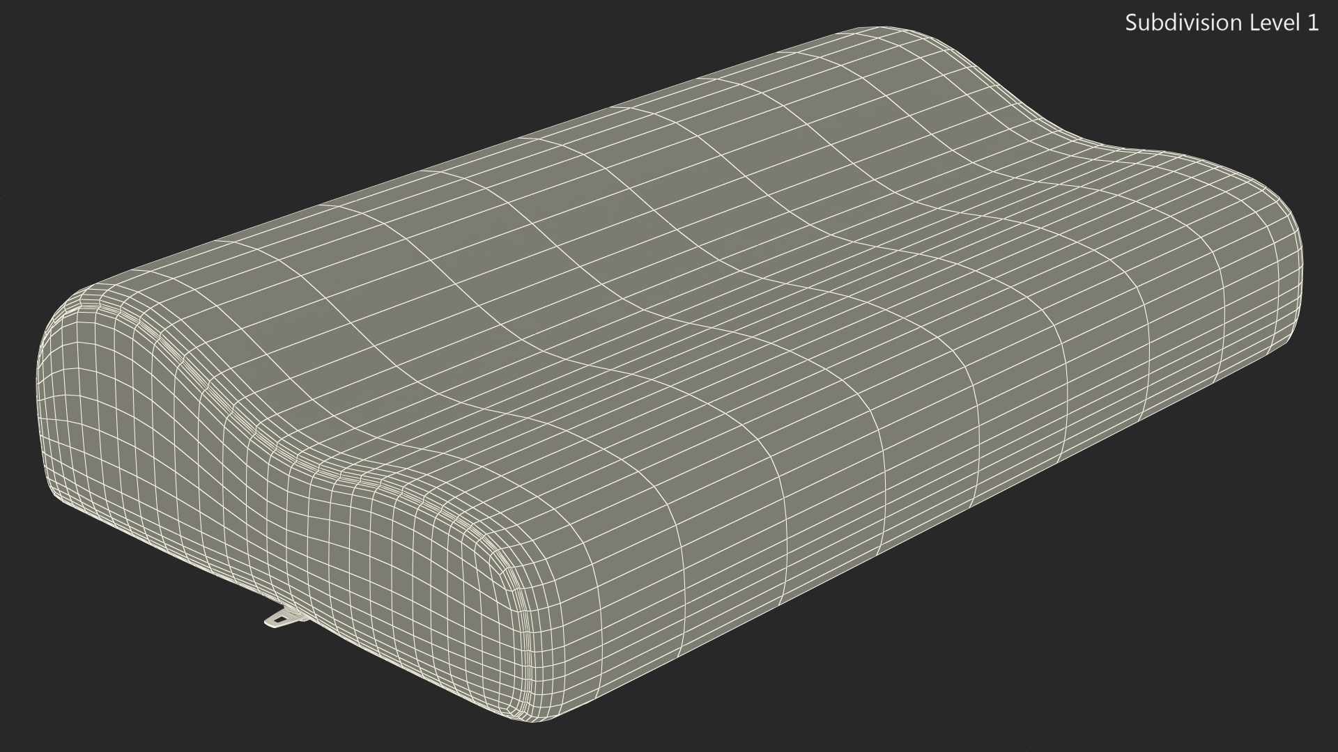 Contoured Orthopedic Memory Pillow 3D model