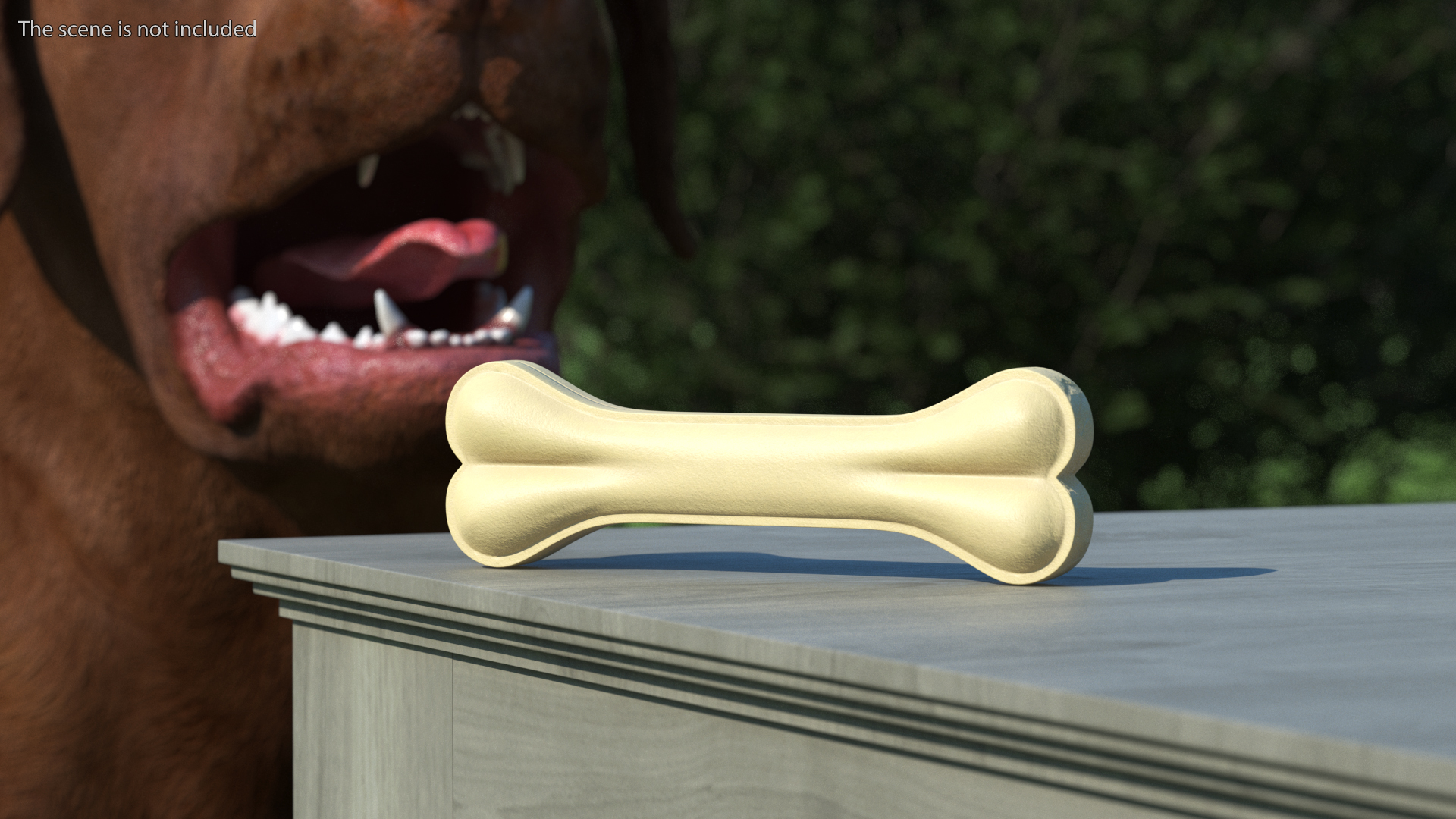 3D model Dog Chew Bone Small Light