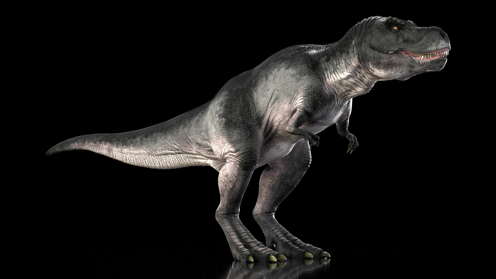 T Rex Eating Animated Rigged for Maya 3D