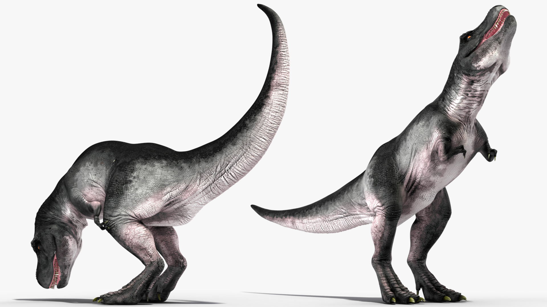 T Rex Eating Animated Rigged for Maya 3D