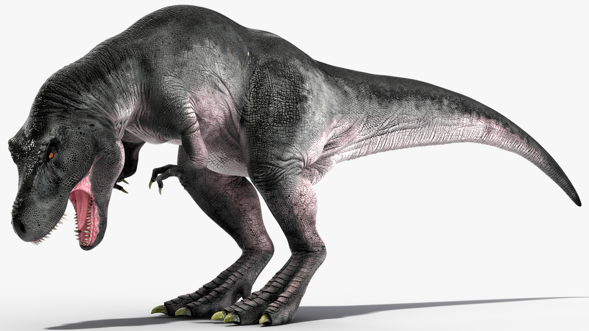 T Rex Eating Animated Rigged for Maya 3D