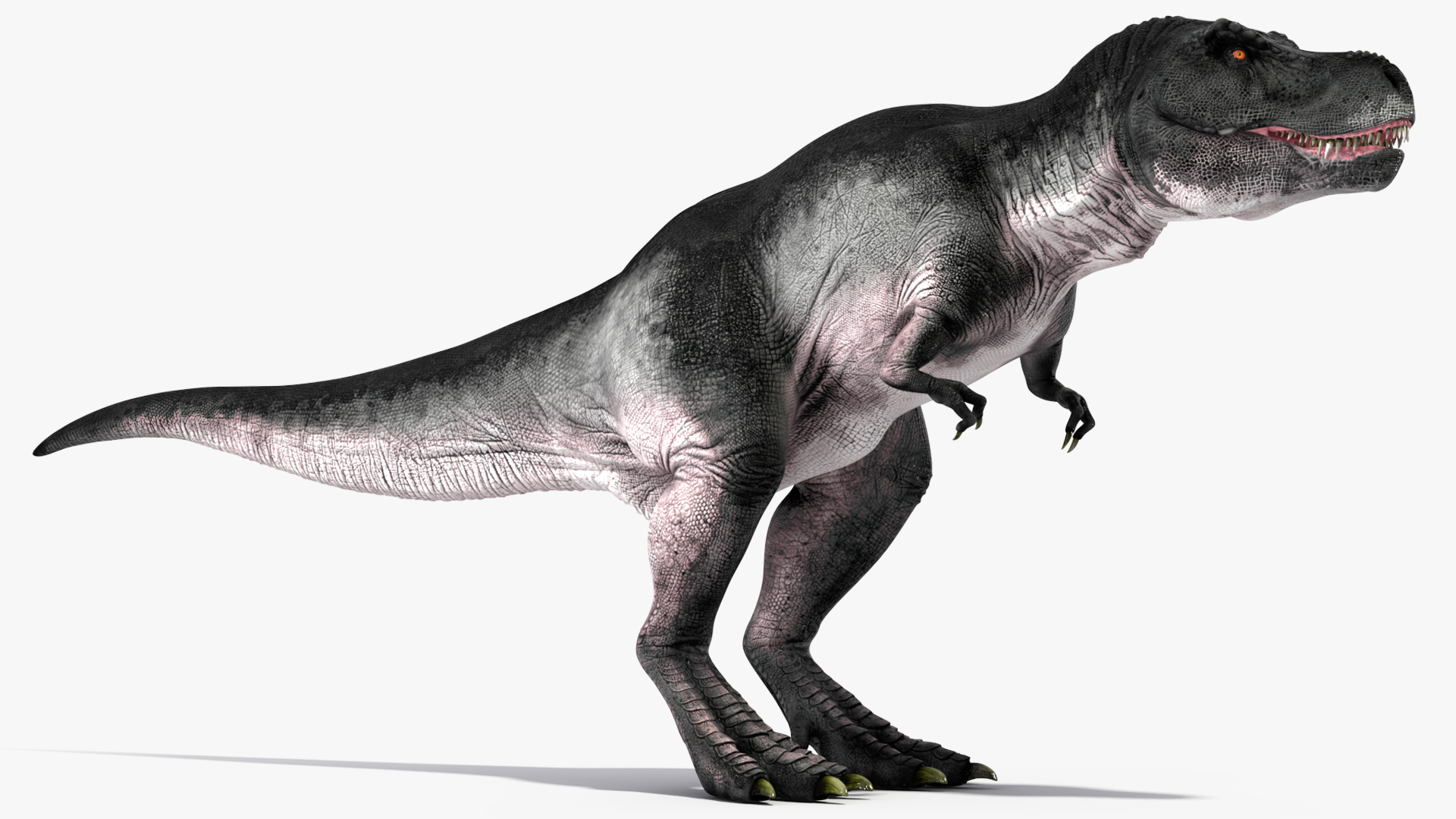 T Rex Eating Animated Rigged for Maya 3D