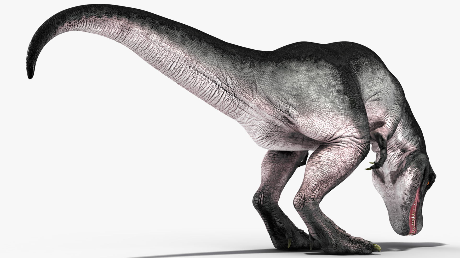T Rex Eating Animated Rigged for Maya 3D