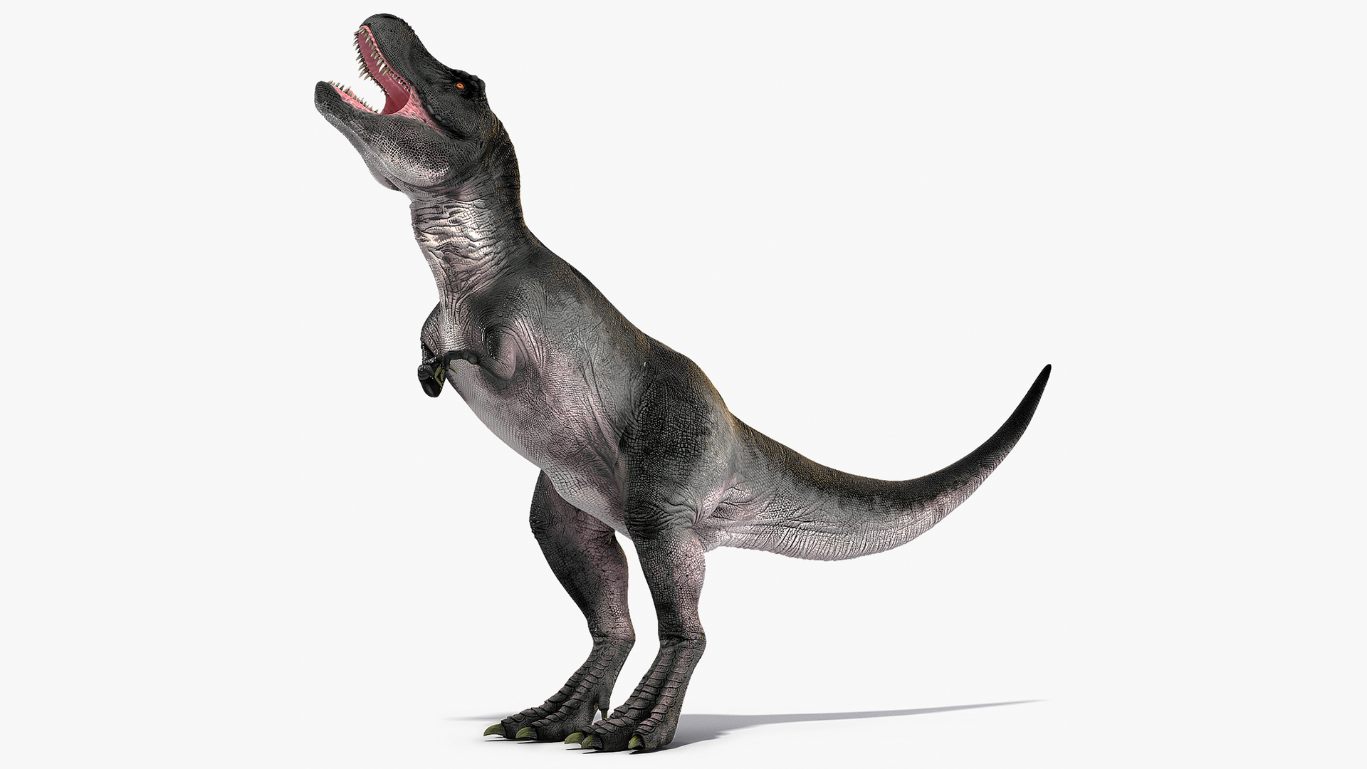 T Rex Eating Animated Rigged for Maya 3D