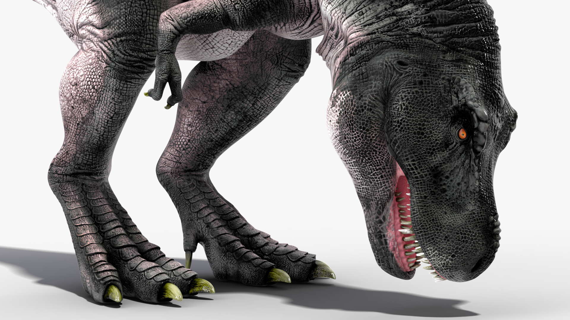 T Rex Eating Animated Rigged for Maya 3D