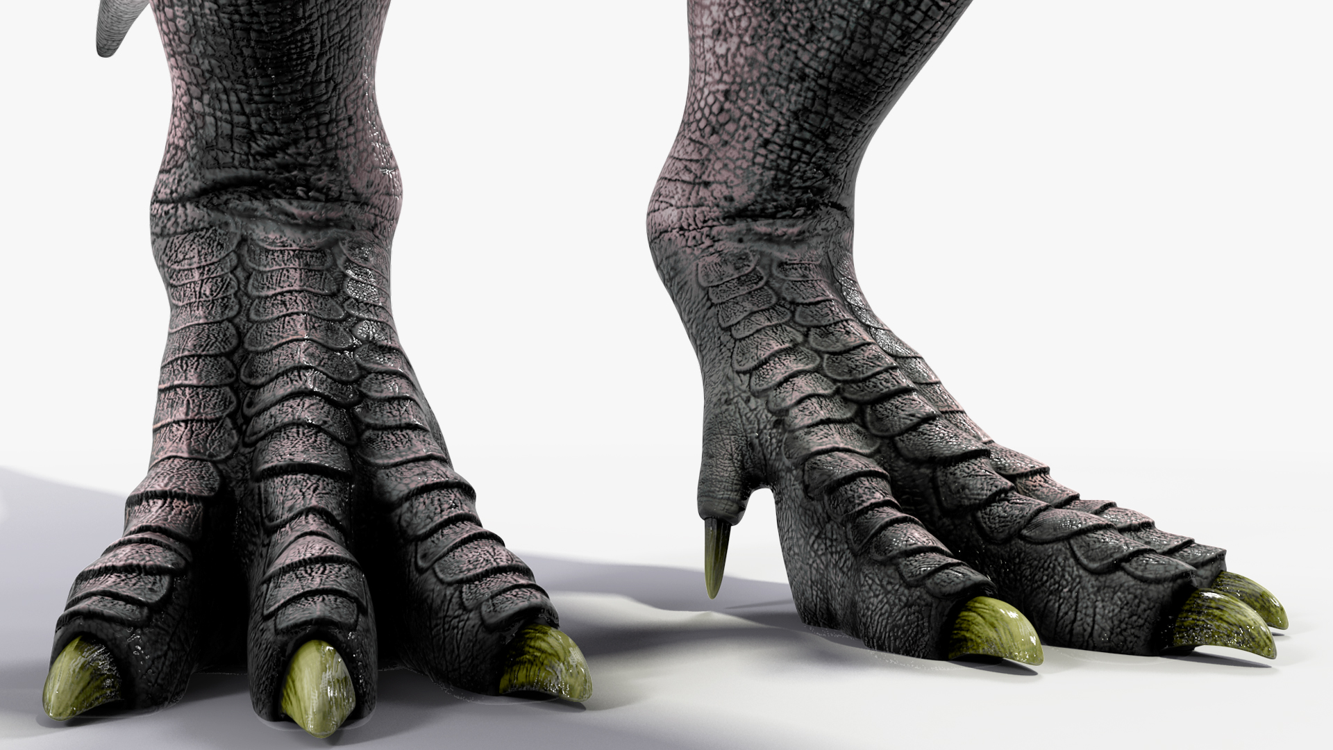 T Rex Eating Animated Rigged for Maya 3D