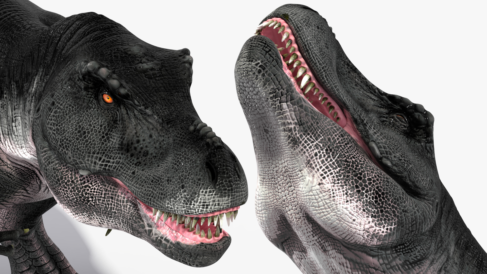 T Rex Eating Animated Rigged for Maya 3D