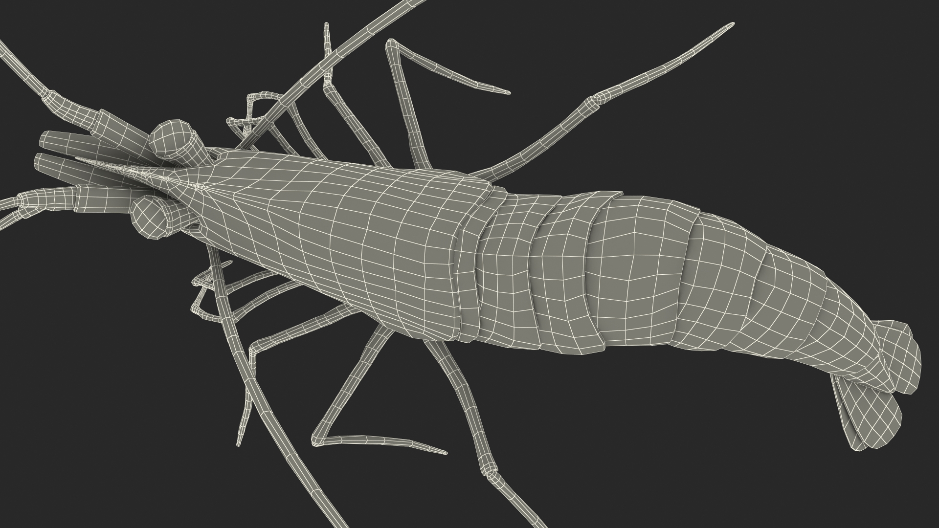 3D Scarlet Cleaner Shrimp Fur