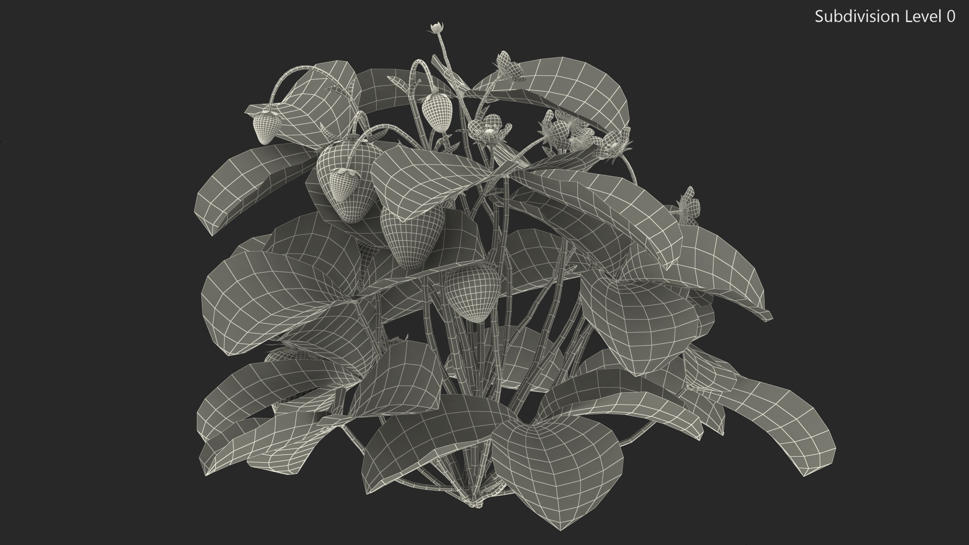 3D Bush of Strawberry Plant with Fruits