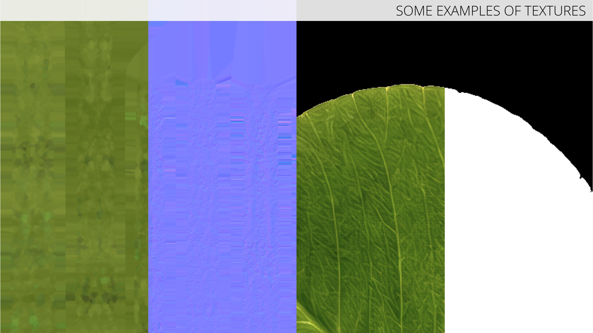 Low Poly Clover Leaves Green, view 11