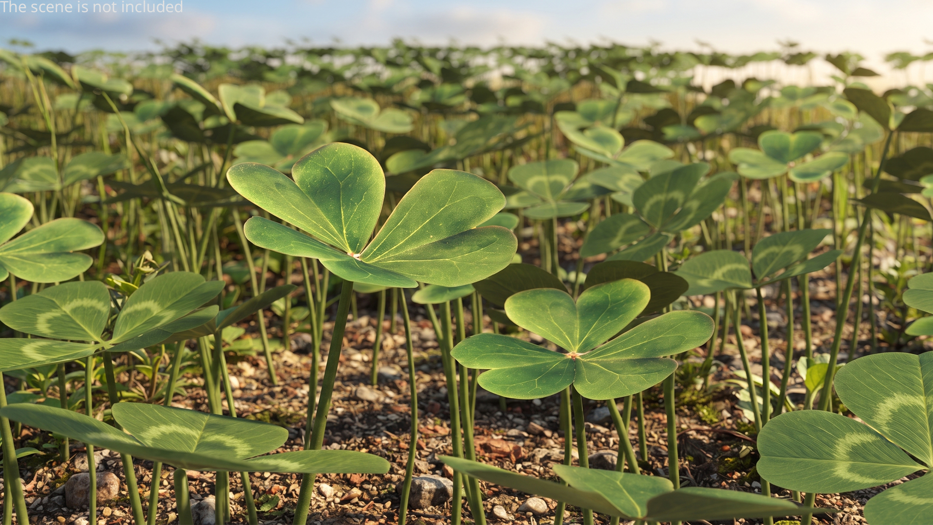 Low Poly Clover Leaves Green, view 2