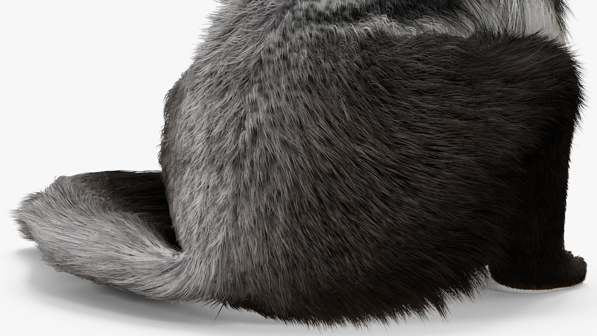 Anteater Rigged Fur 3D model