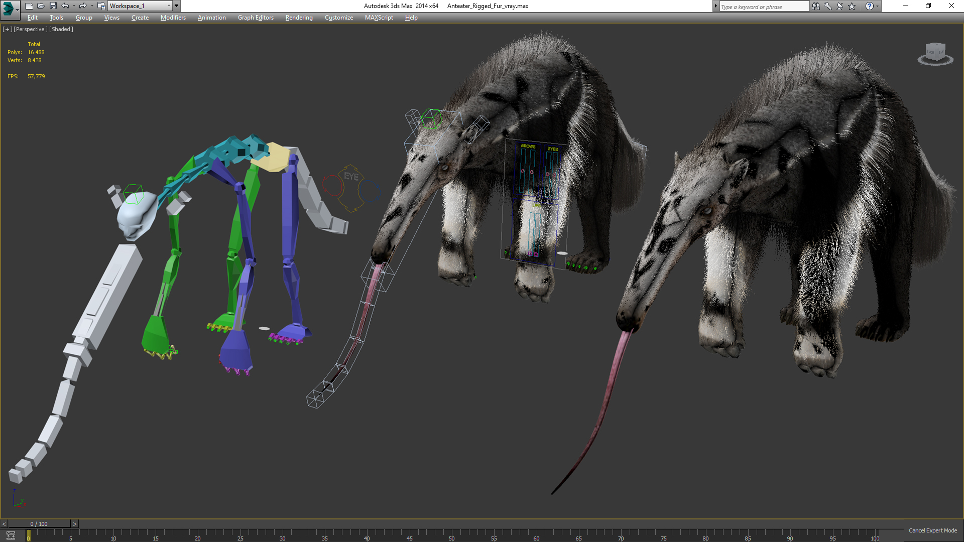 Anteater Rigged Fur 3D model