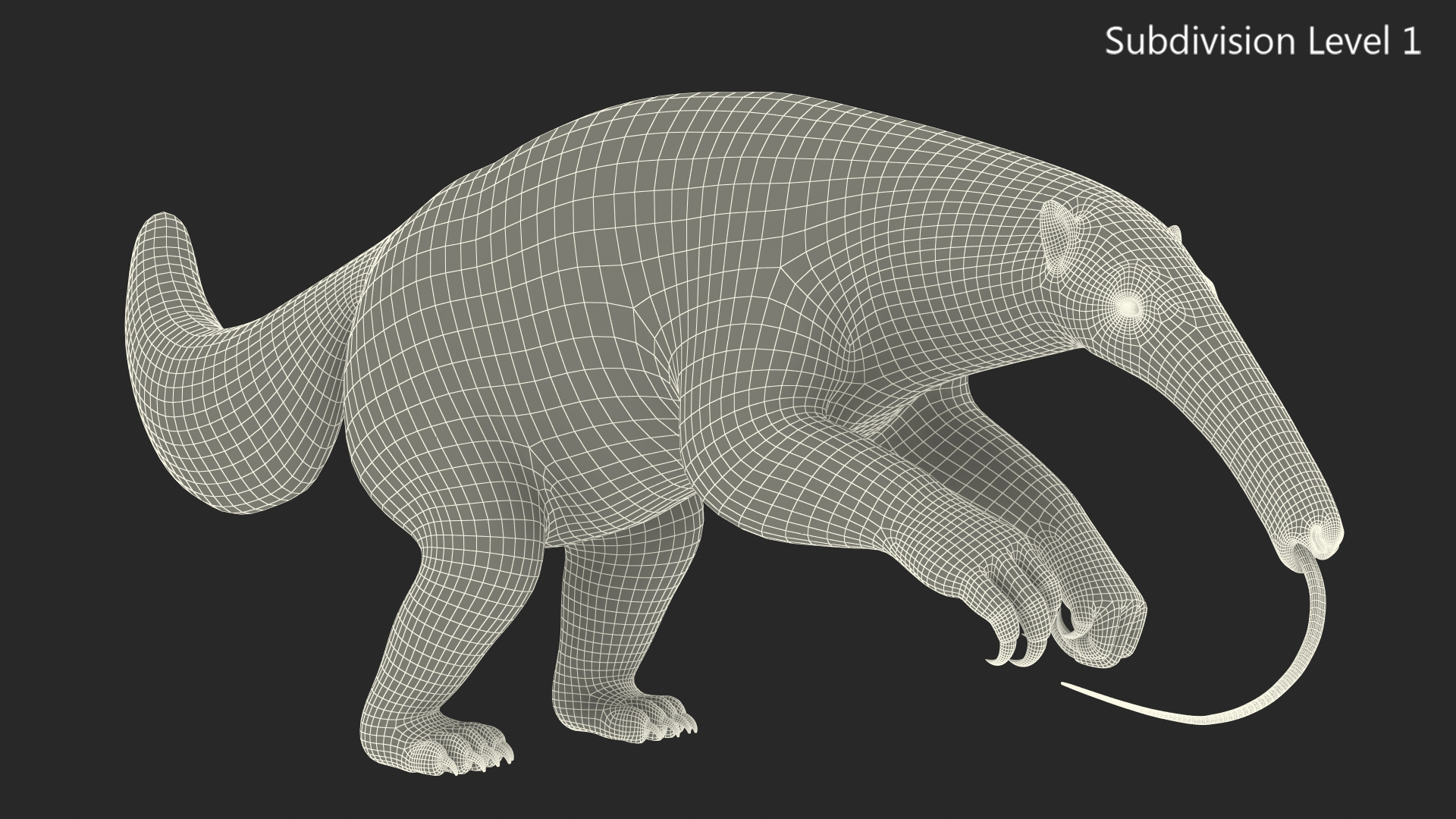 Anteater Rigged Fur 3D model
