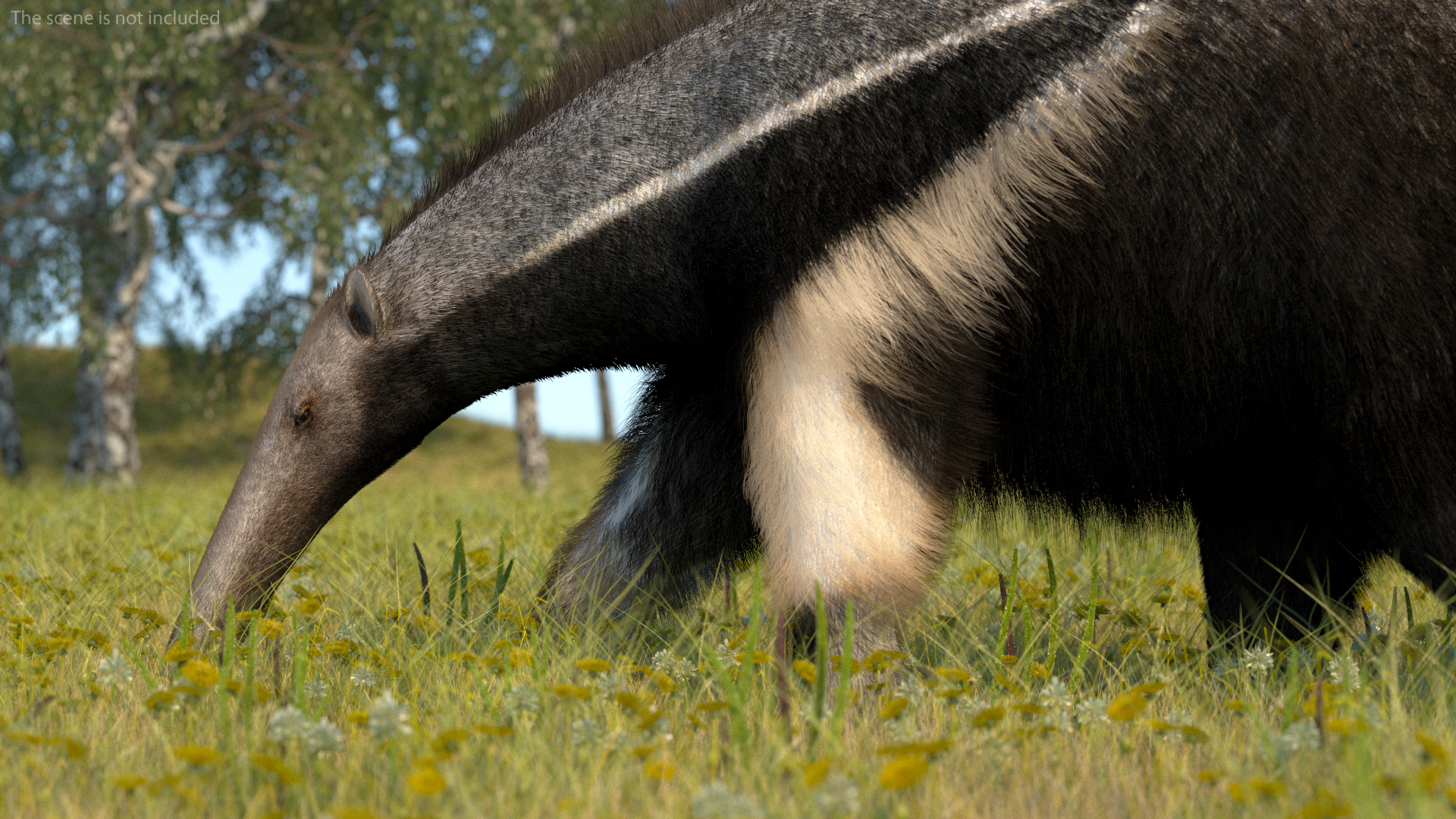 Anteater Rigged Fur 3D model
