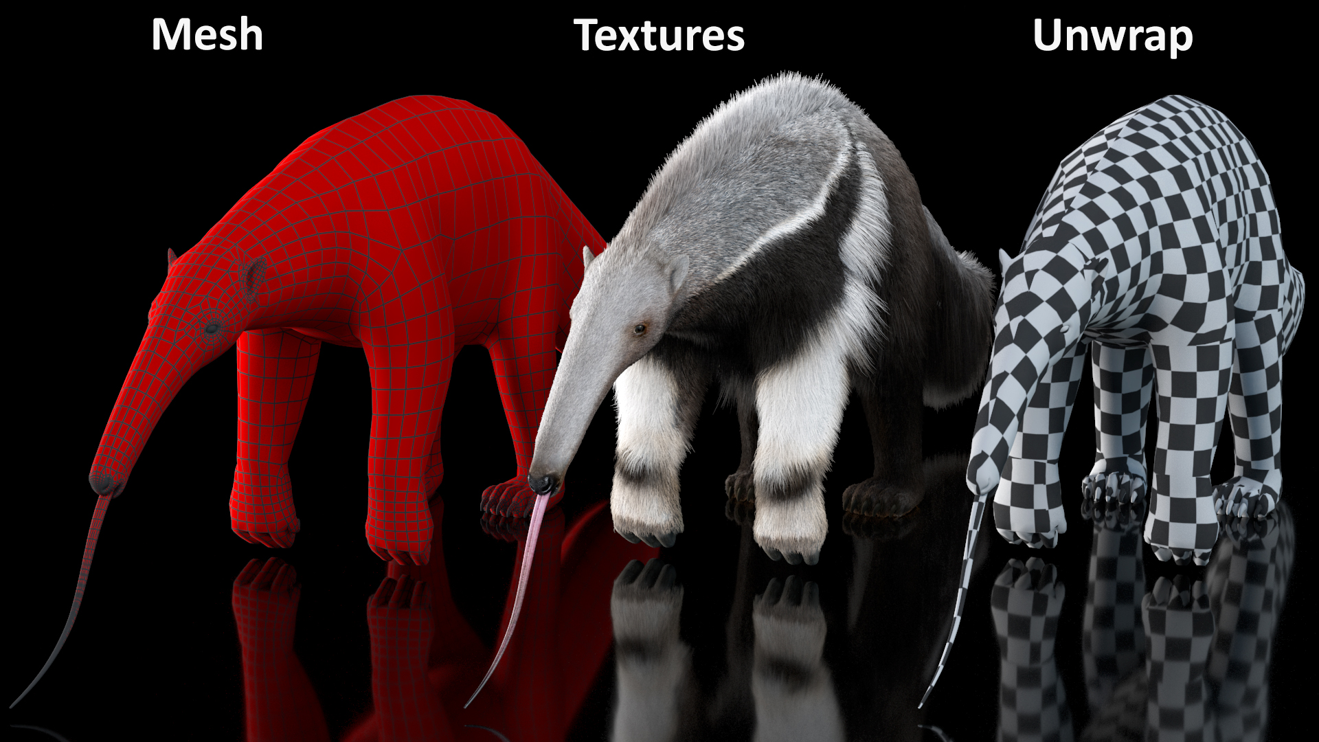 Anteater Rigged Fur 3D model