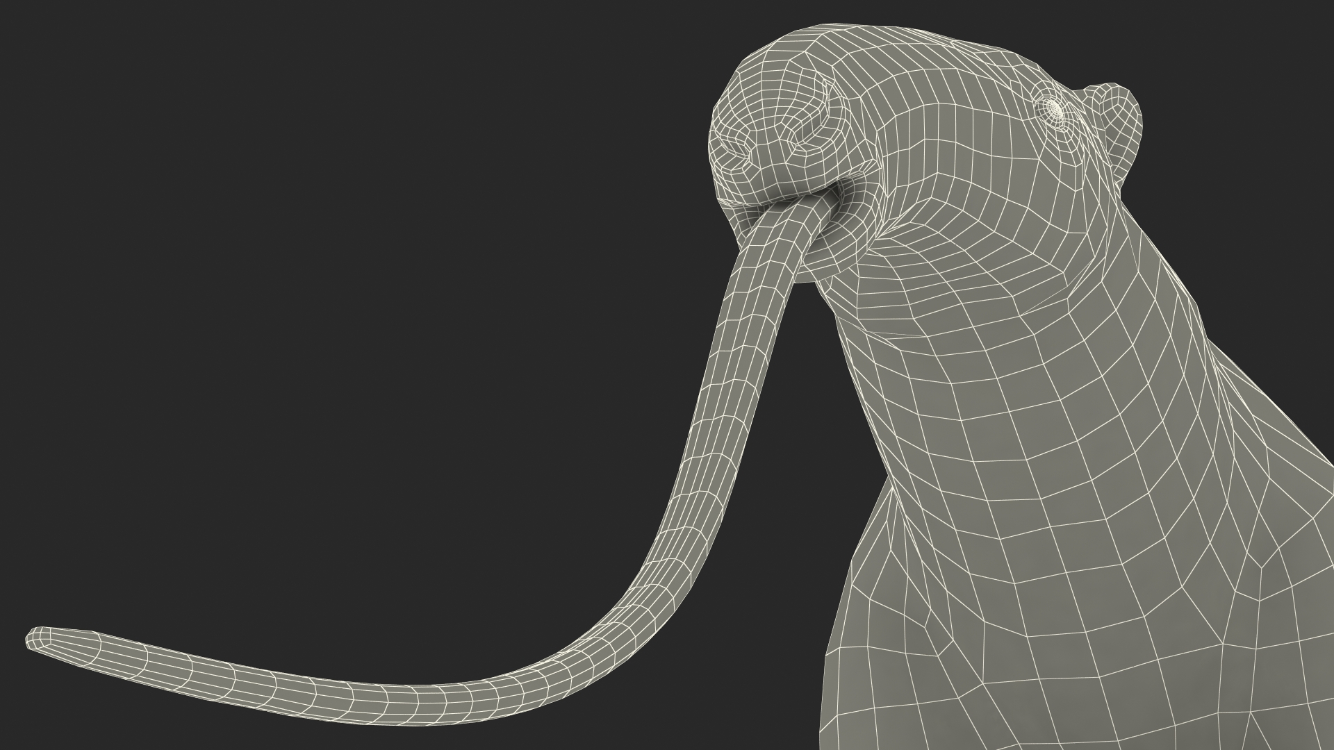 Anteater Rigged Fur 3D model