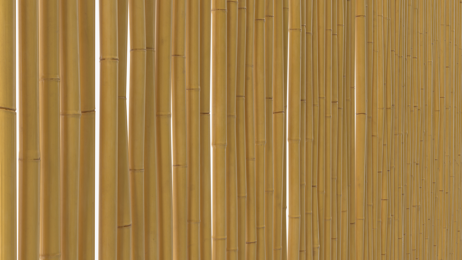 3D model Bamboo Wall Covering