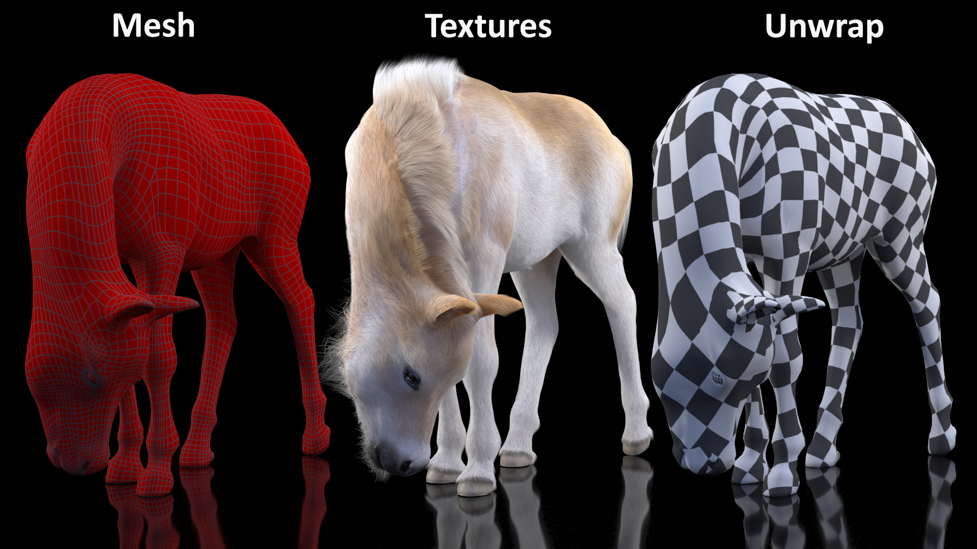 3D Shetland Pony in Grazing Pose Fur model