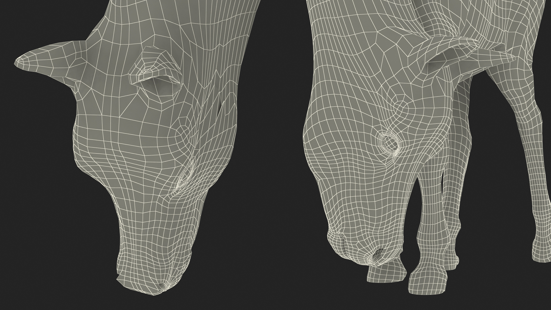 3D Shetland Pony in Grazing Pose Fur model