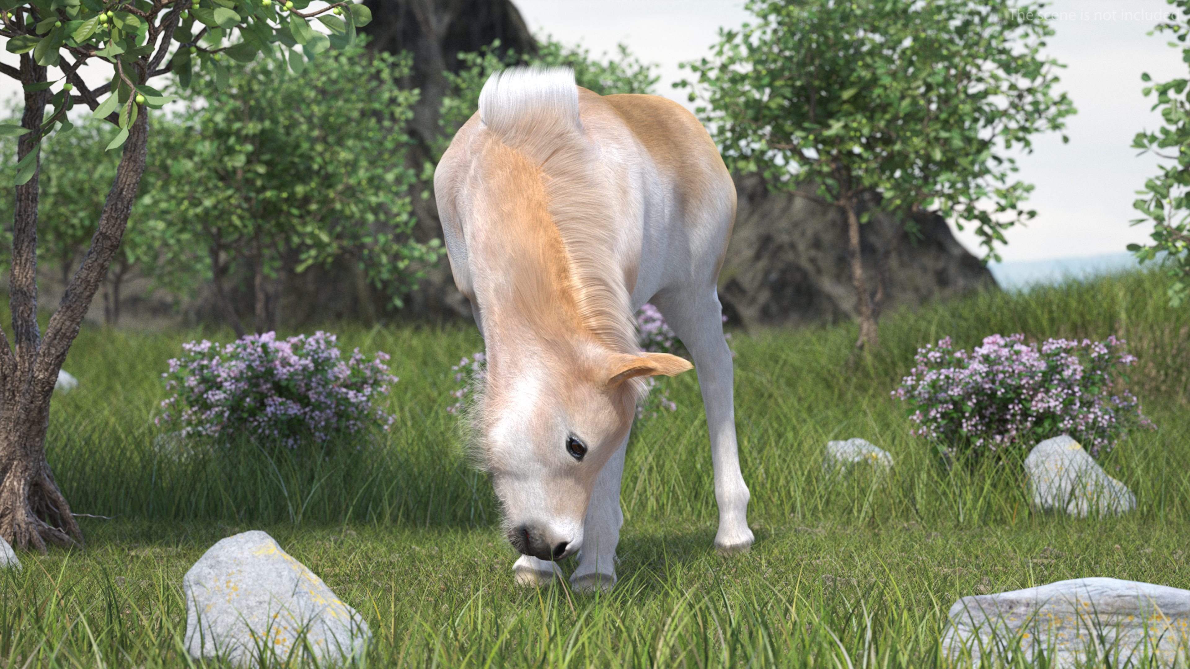 3D Shetland Pony in Grazing Pose Fur model