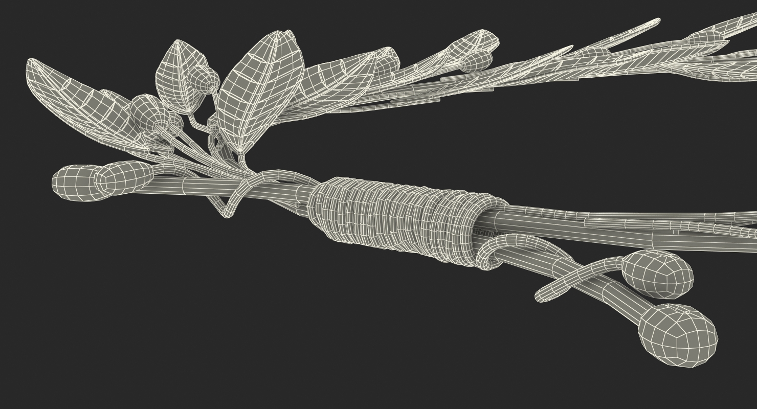 3D Gold Laurel Wreath model