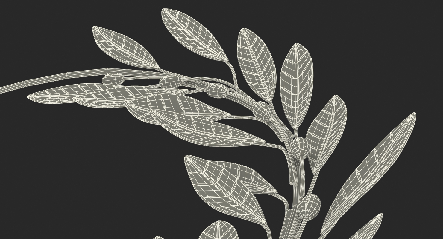3D Gold Laurel Wreath model