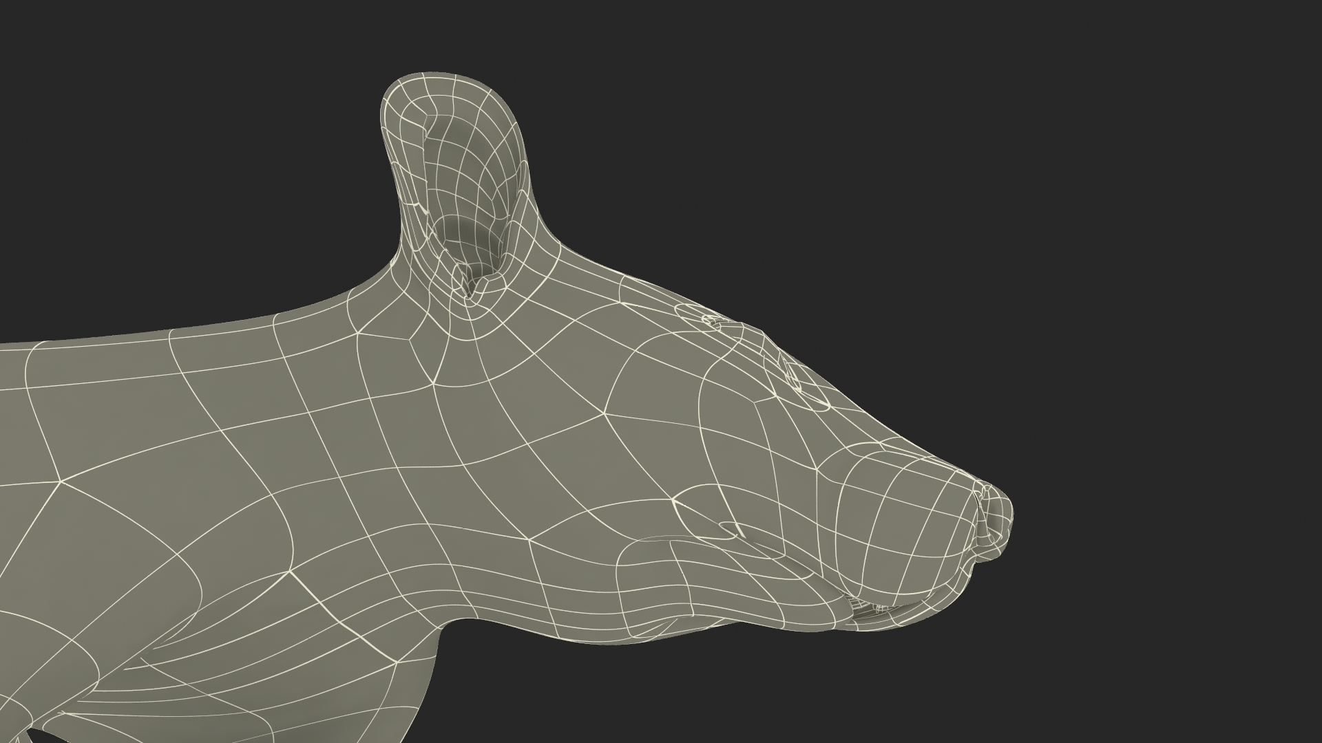 Long Tailed Rat with Fur 3D model
