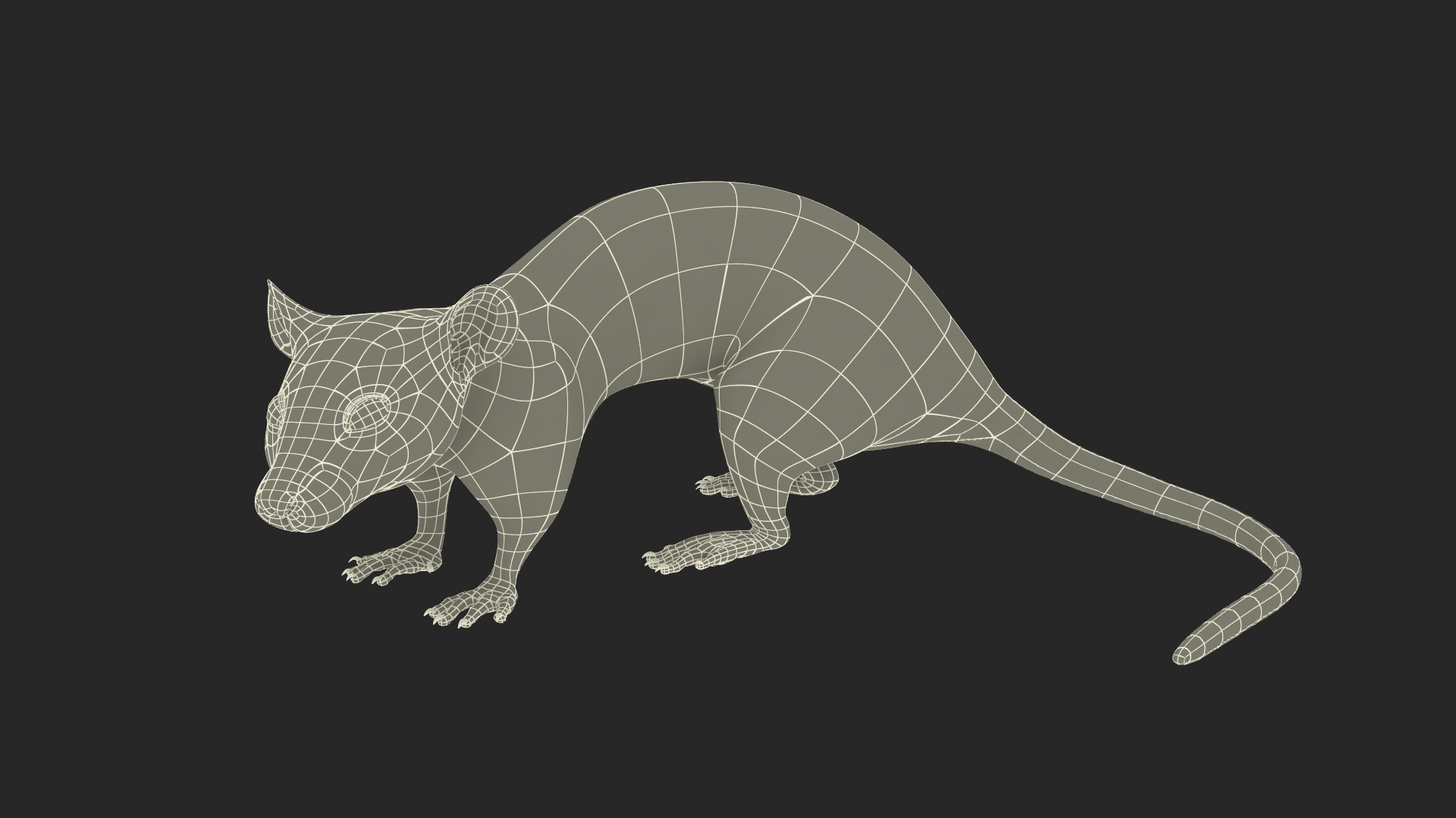 Long Tailed Rat with Fur 3D model