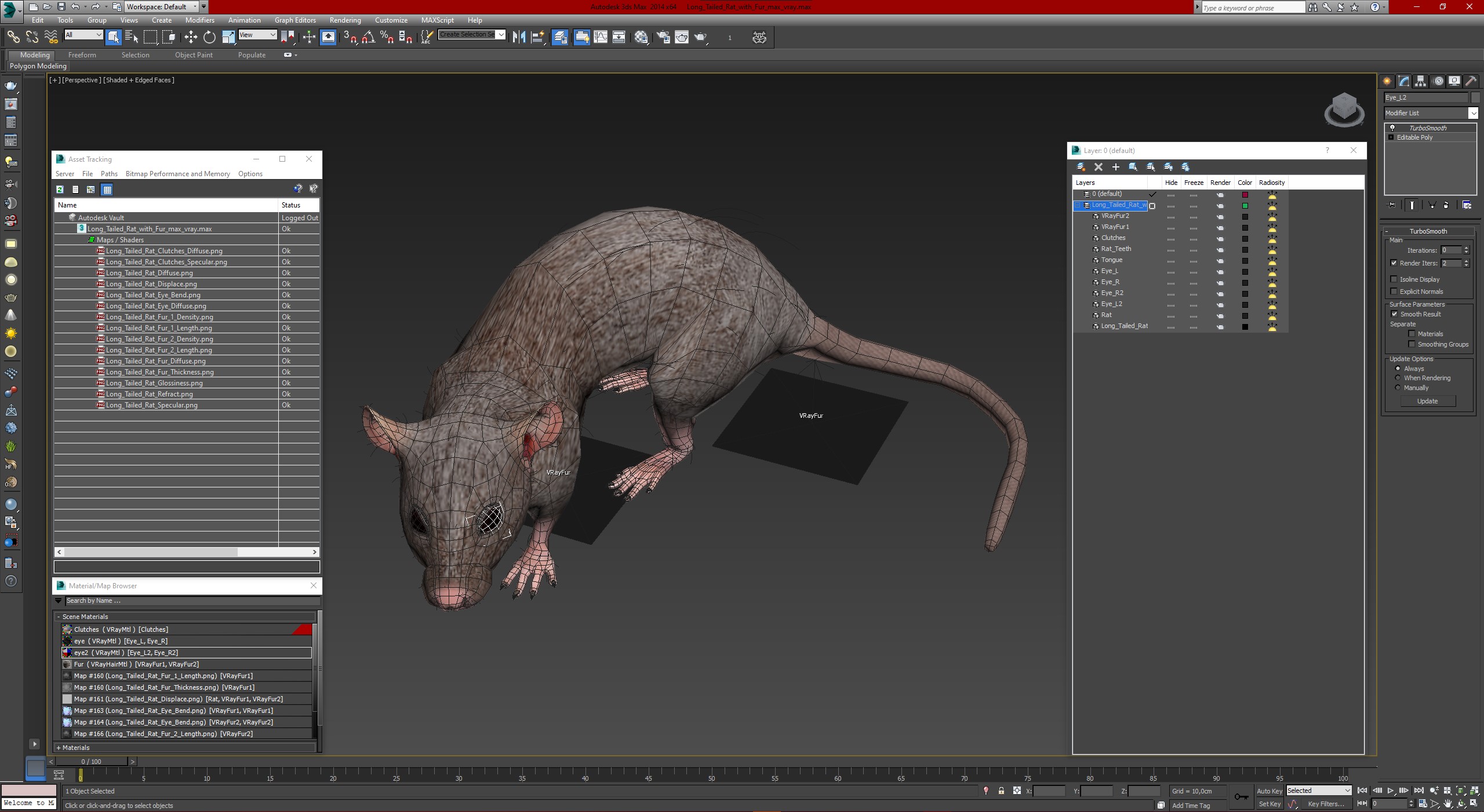 Long Tailed Rat with Fur 3D model
