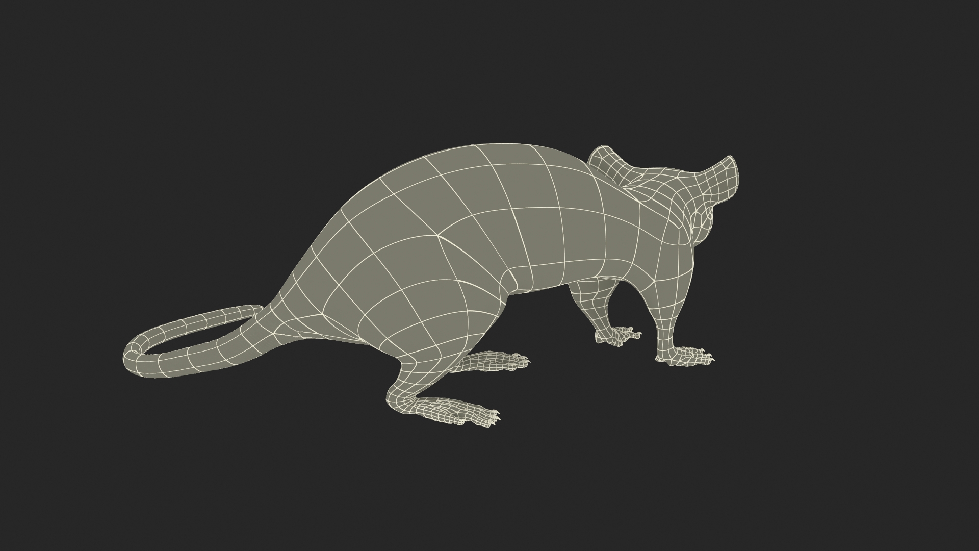 Long Tailed Rat with Fur 3D model