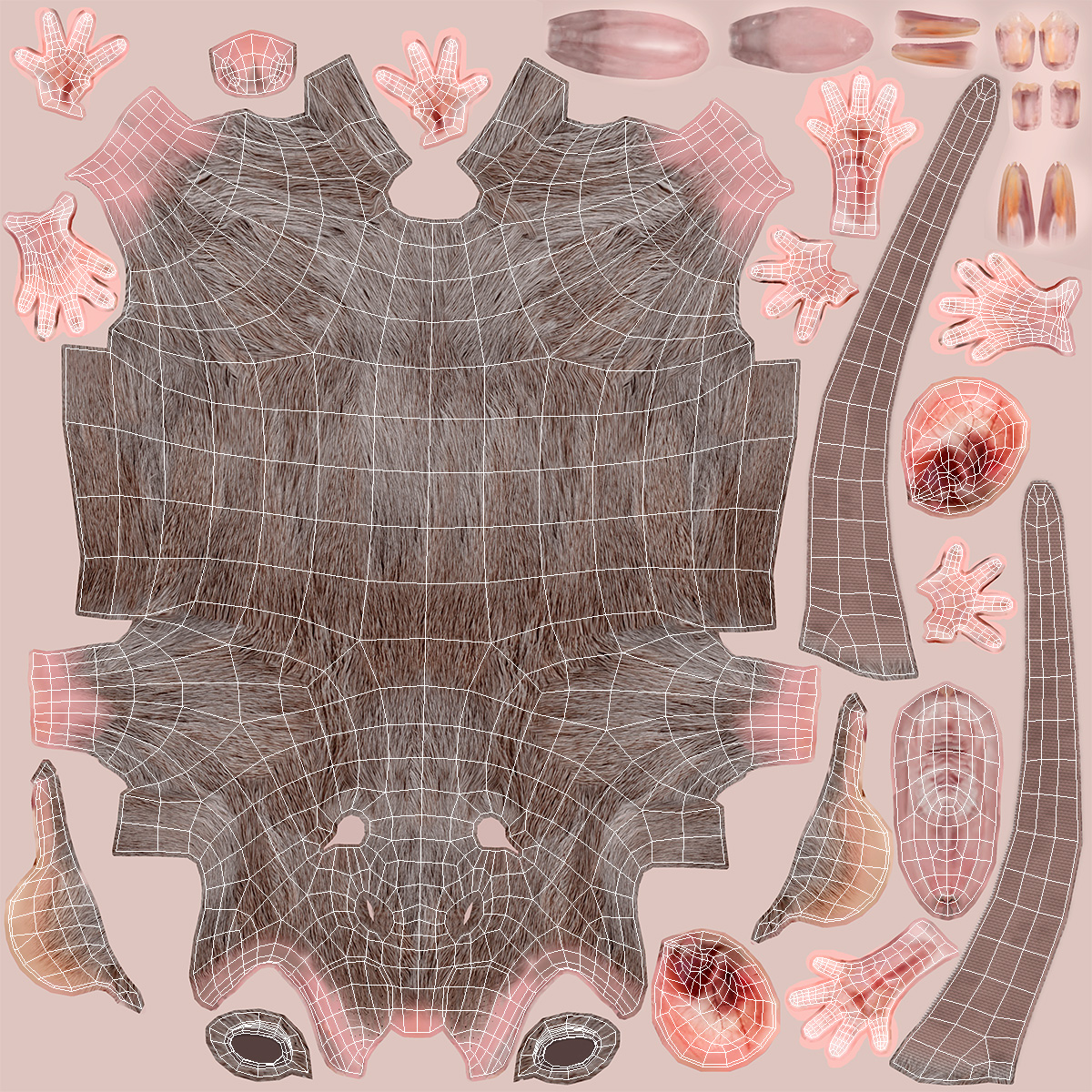 Long Tailed Rat with Fur 3D model