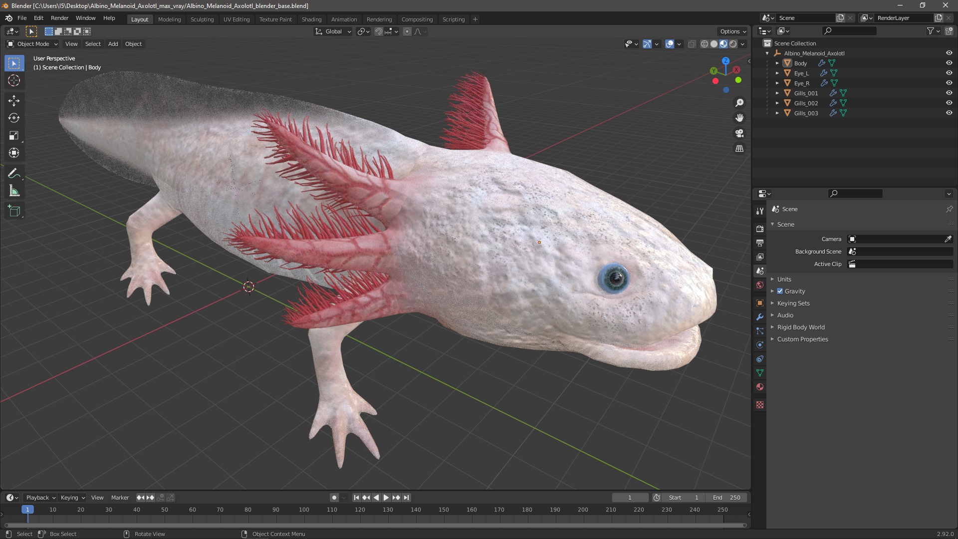 3D Albino Melanoid Axolotl model