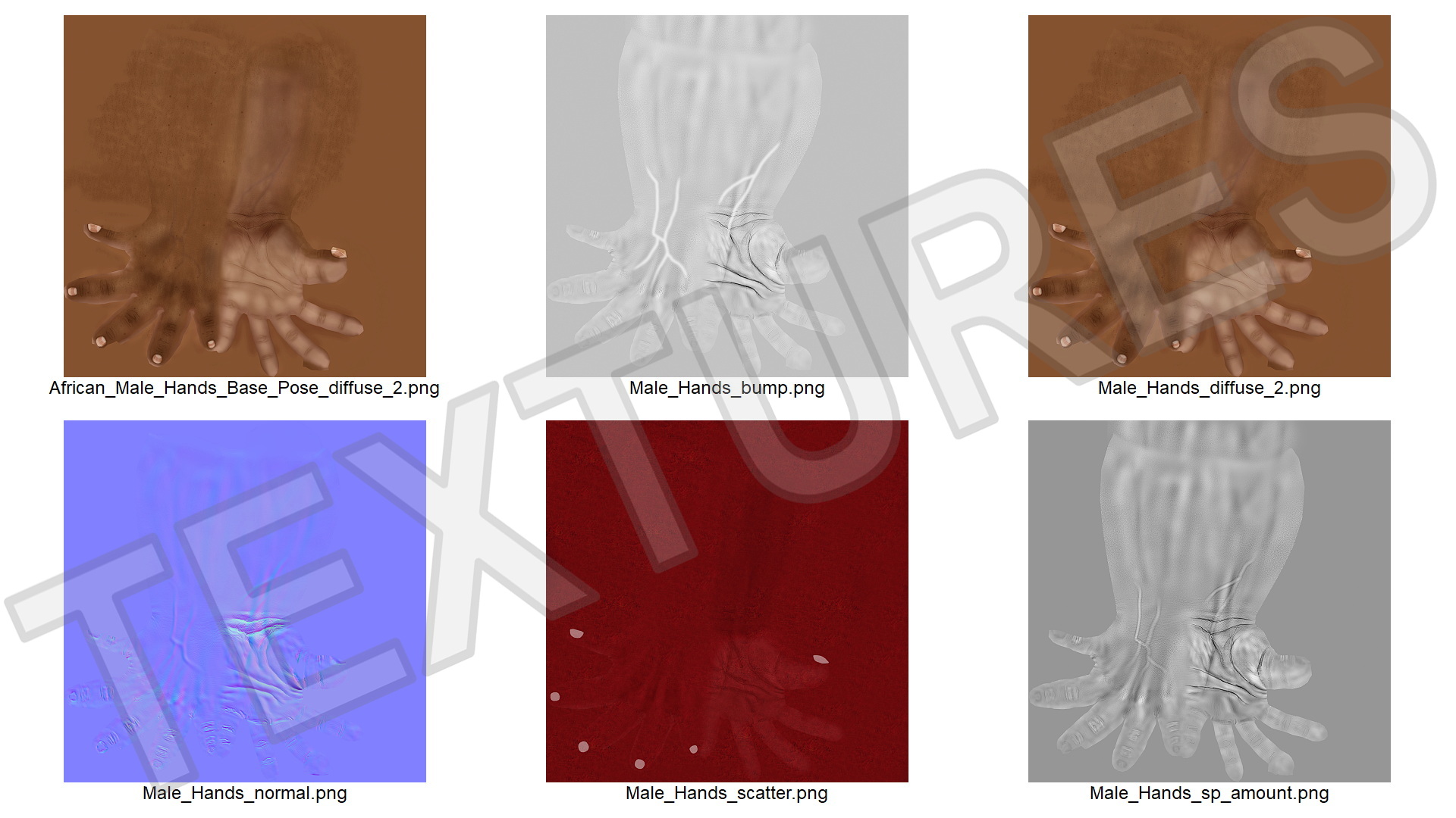 3D African Male Hands Base Pose model