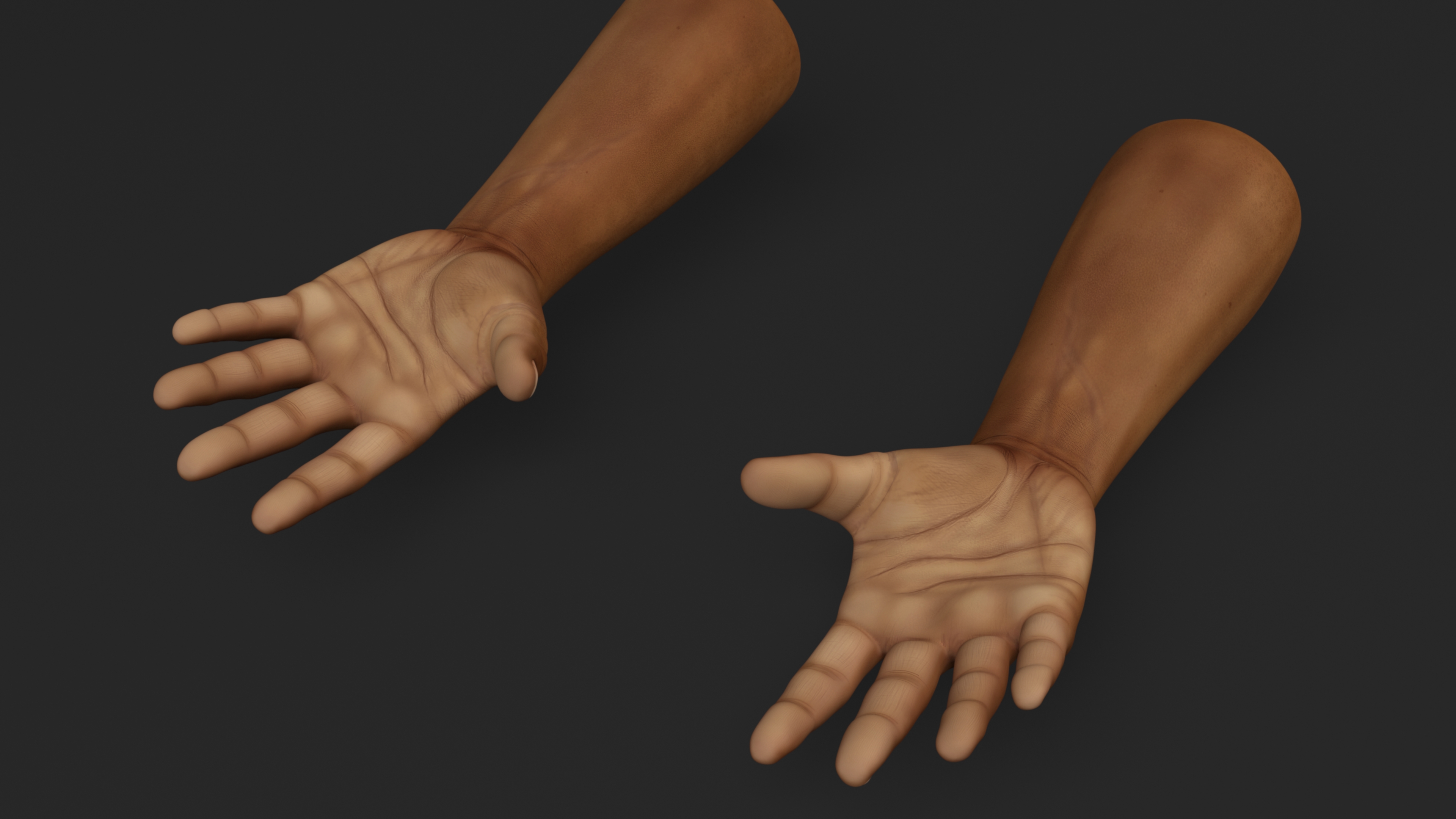 3D African Male Hands Base Pose model