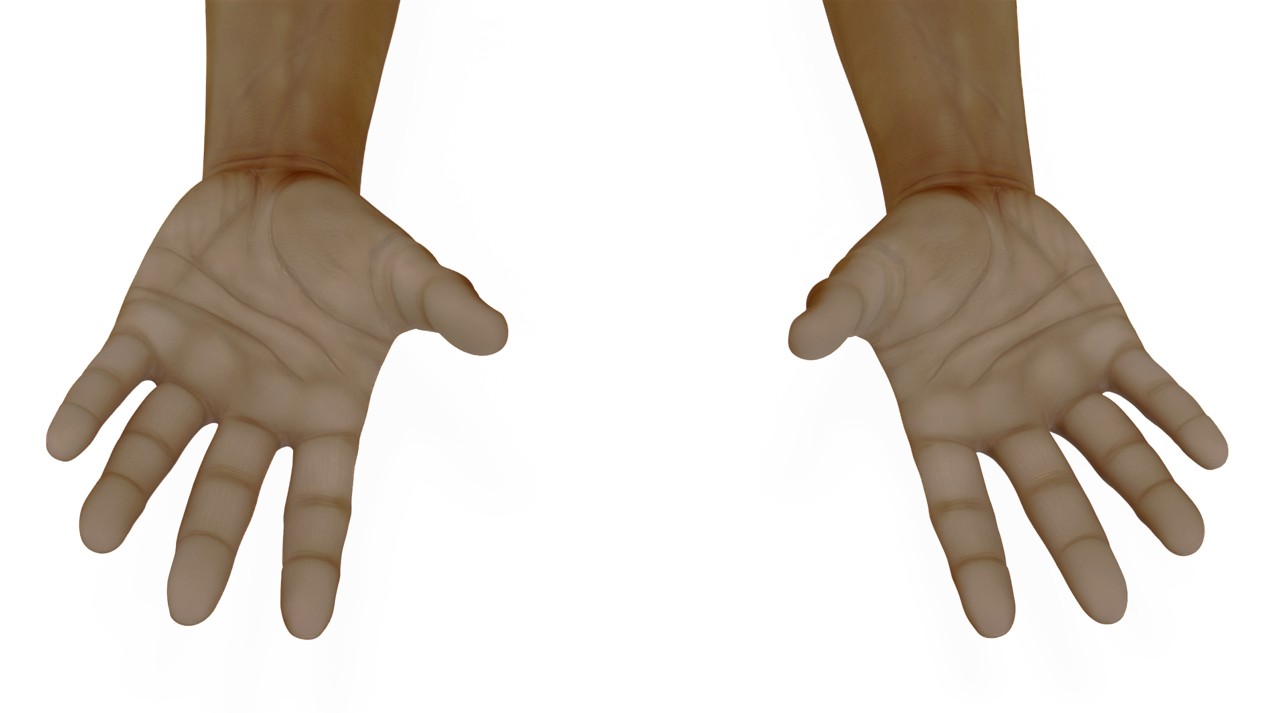 3D African Male Hands Base Pose model