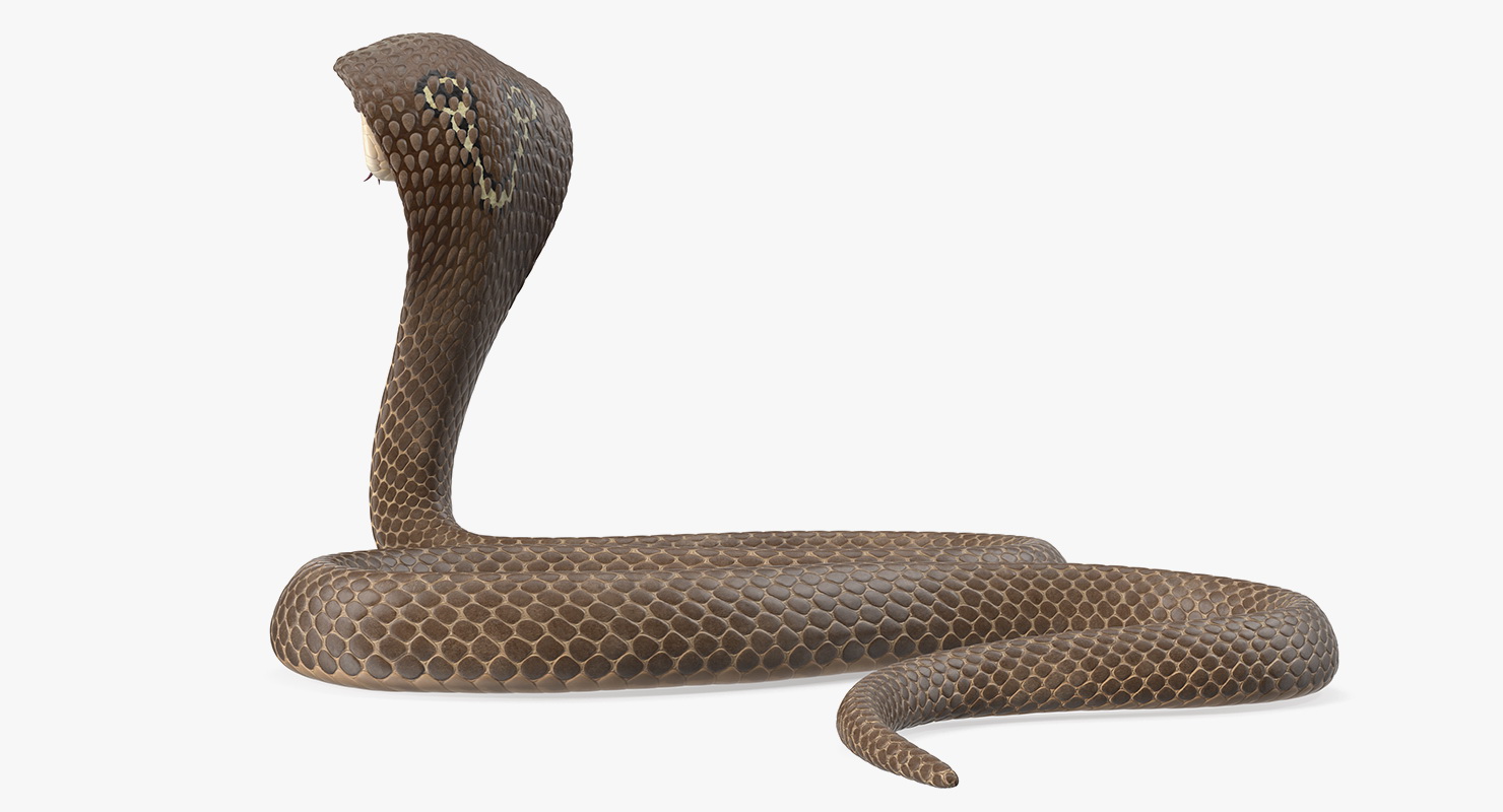 3D Beige Skin Cobra Rigged model