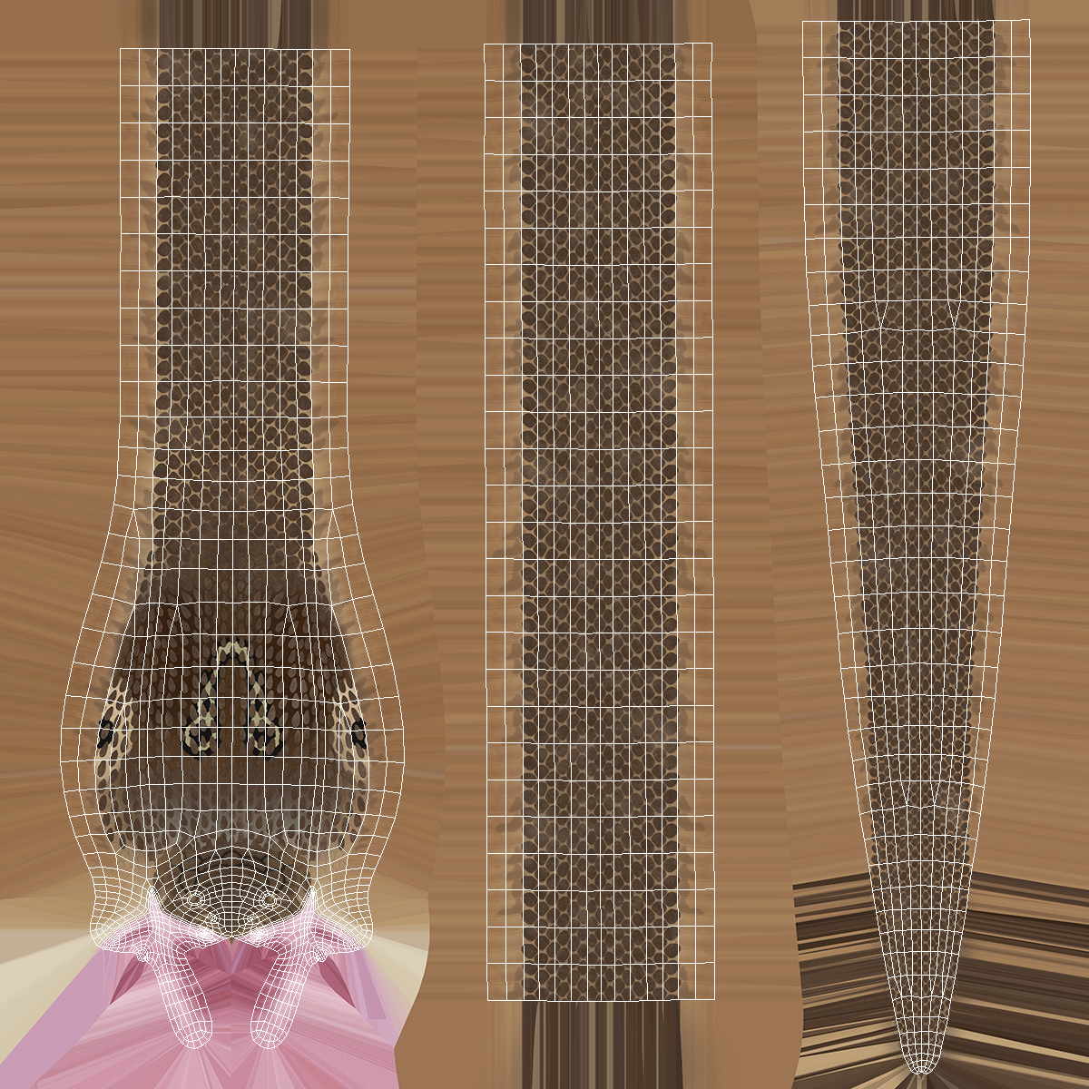 3D Beige Skin Cobra Rigged model