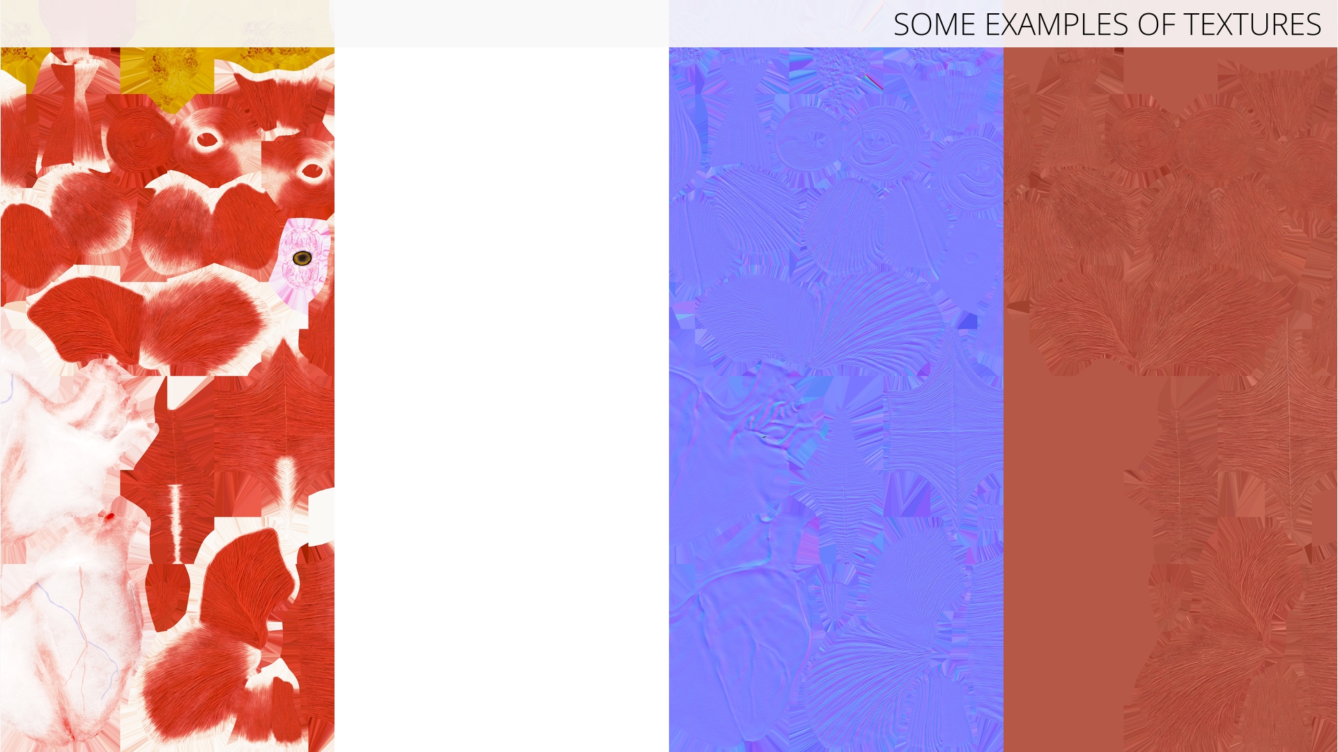Dog Muscle Structure Detailed Anatomy Full - view 9