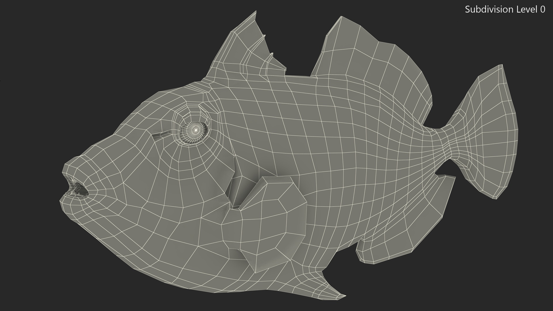 3D Balistoides Conspicillum or Bigspotted Triggerfish Rigged for Cinema 4D