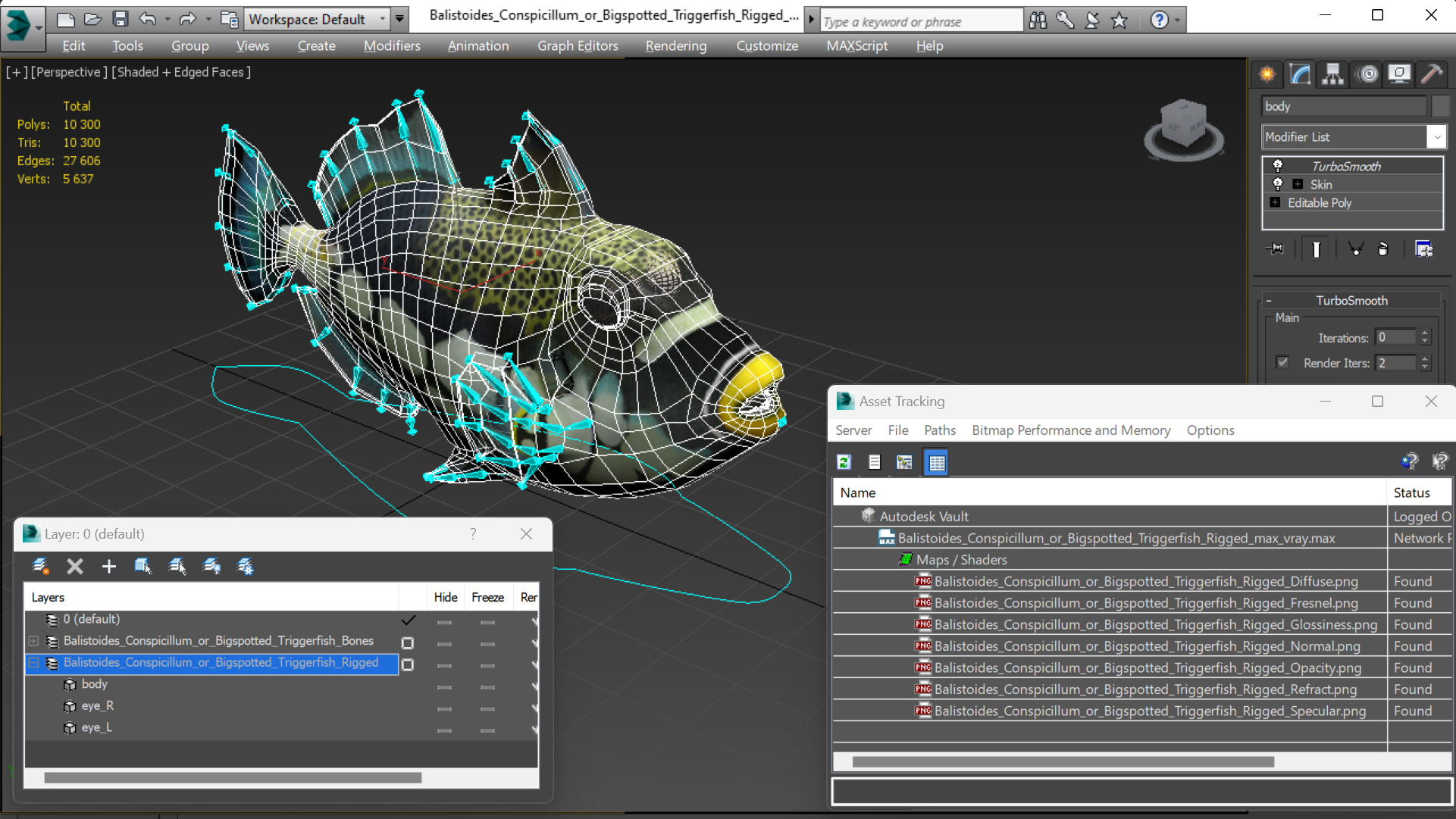 3D Balistoides Conspicillum or Bigspotted Triggerfish Rigged for Cinema 4D
